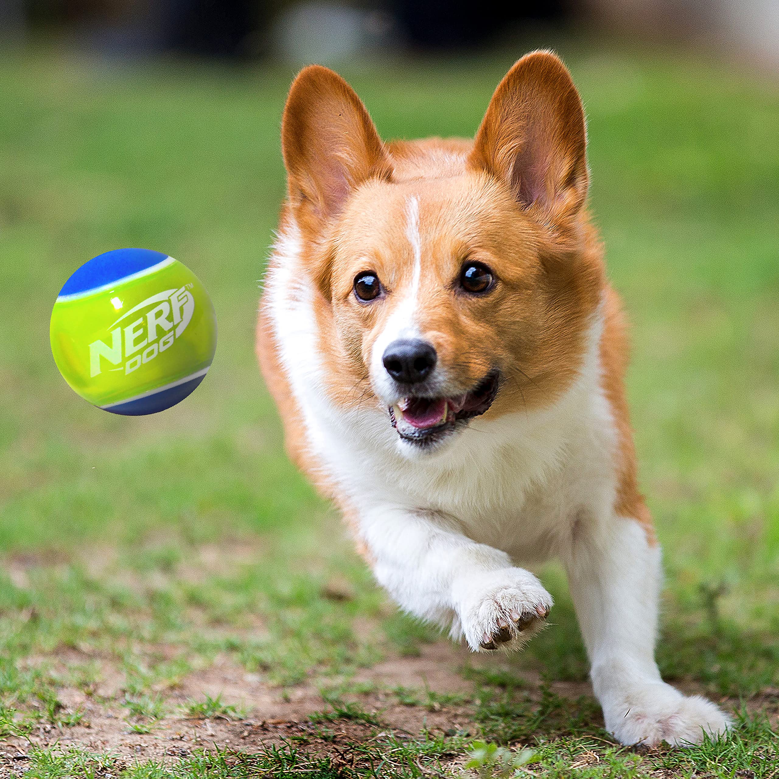 Nerf Dog Rubber Tennis Ball Dog Toys With Interactive Squeaker, Lightweight, Durable And Water Resistant, 2 Inches, For Small/Medium/Large Breeds, Two Pack, Mixed Colors 2Count(Pack Of 1)