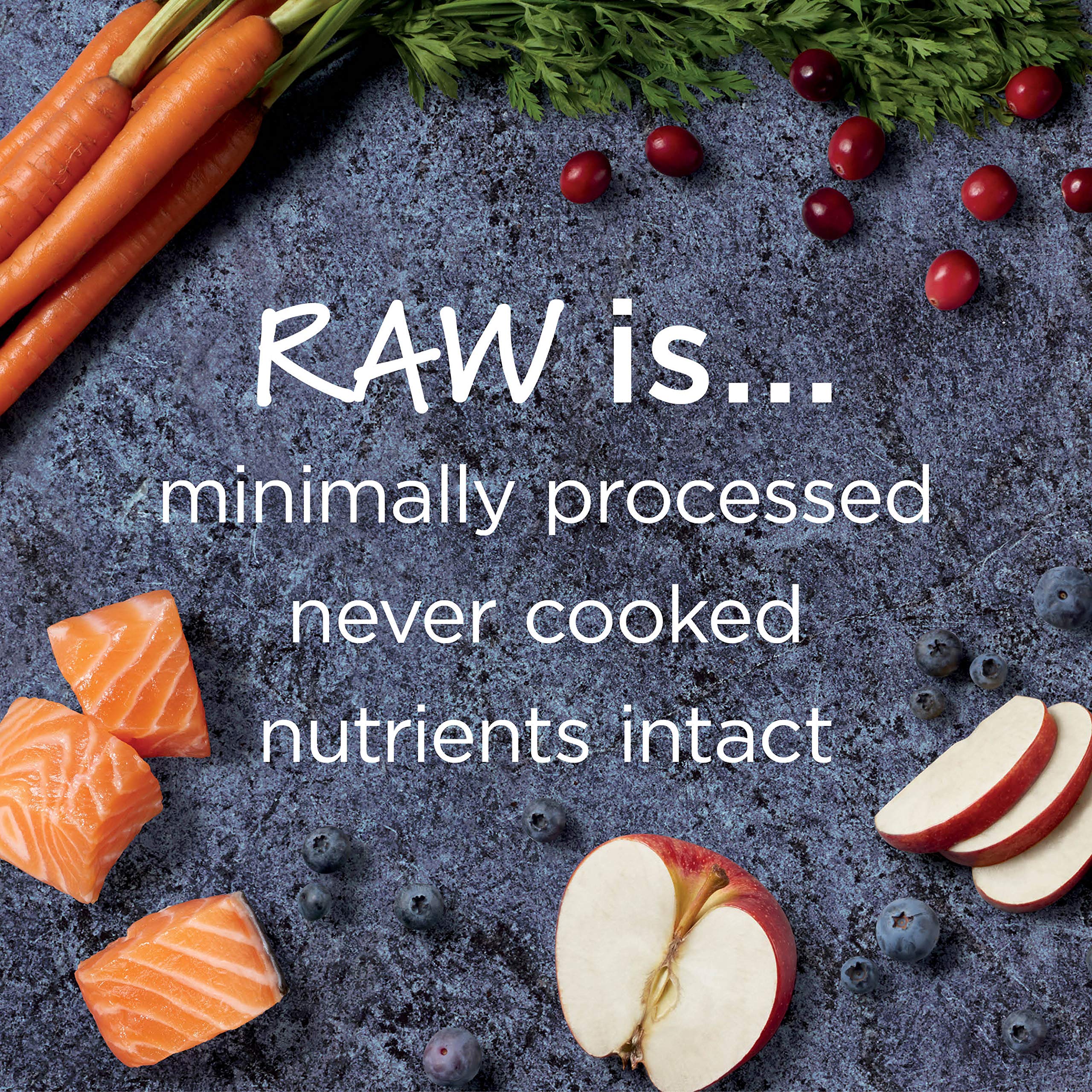 Instinct Raw Boost Grain Free Recipe with Real Salmon Natural Dry Cat Food by Natures Variety, 4.5 lb. Bag