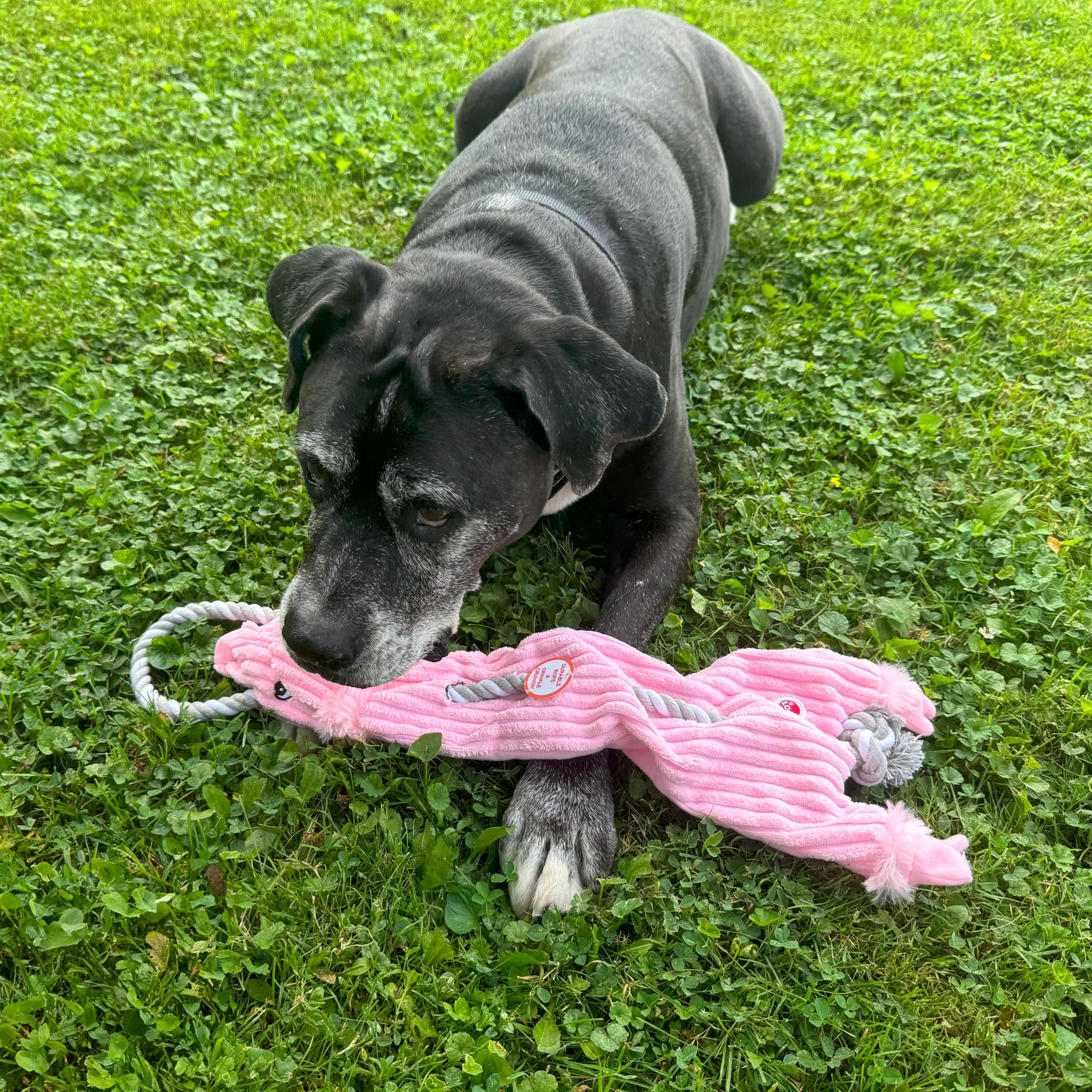 Spot Skinneeez Barnyard Tug Dog Toy - Rope Design For Strong Chewers, Squeaker & Crinkle, Stuffing-Free, Tug Toy For Medium To Large Dogs & Puppies -23 Inch, Style Varies