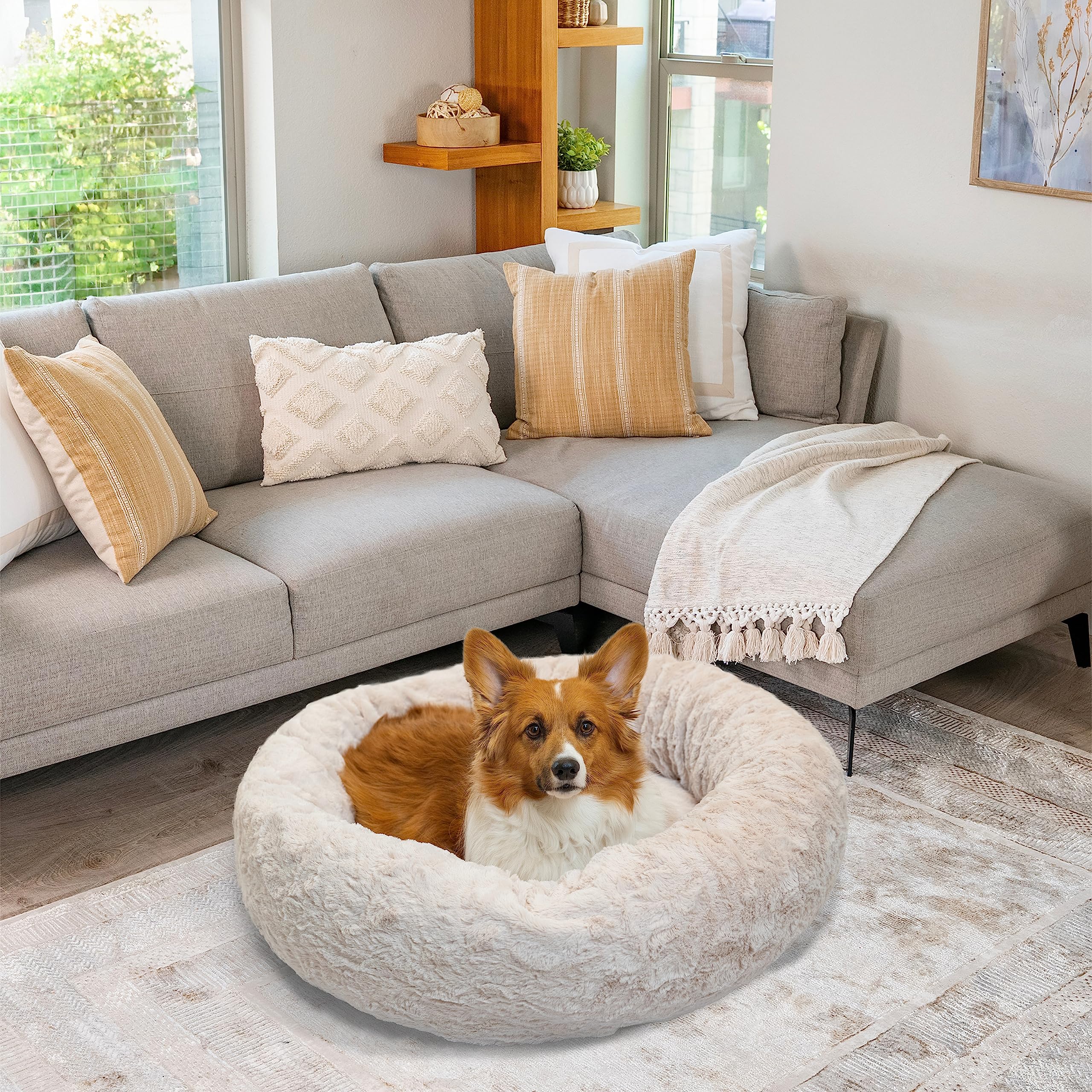 Best Friends by Sheri Calming Donut Dog & Cat Bed, Medium 30x30, Oyster Lux, Textured Plush, Model 4901