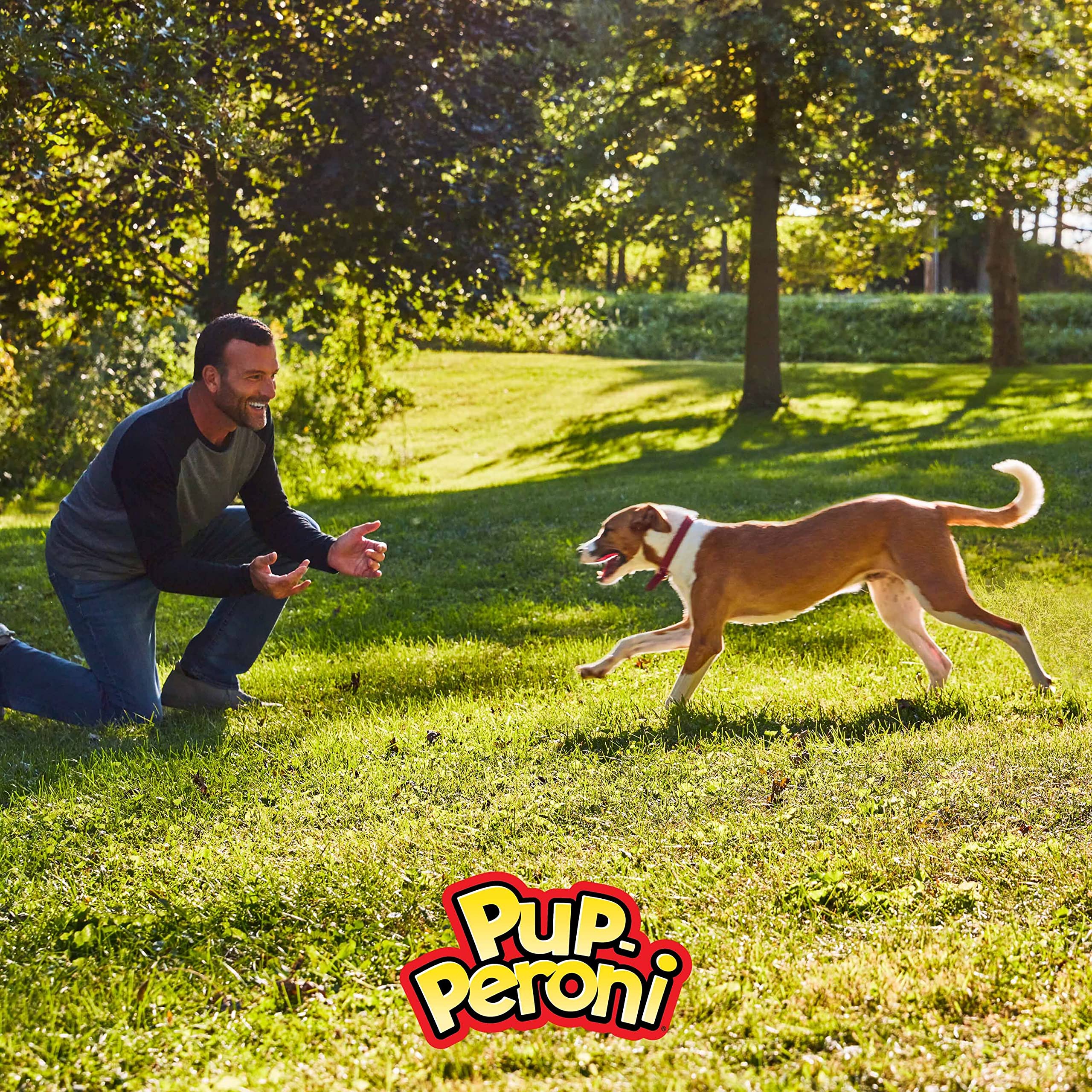 Pup-Peroni Dog Treats, Original Beef Flavor, 38 Ounce, Made with Real Beef