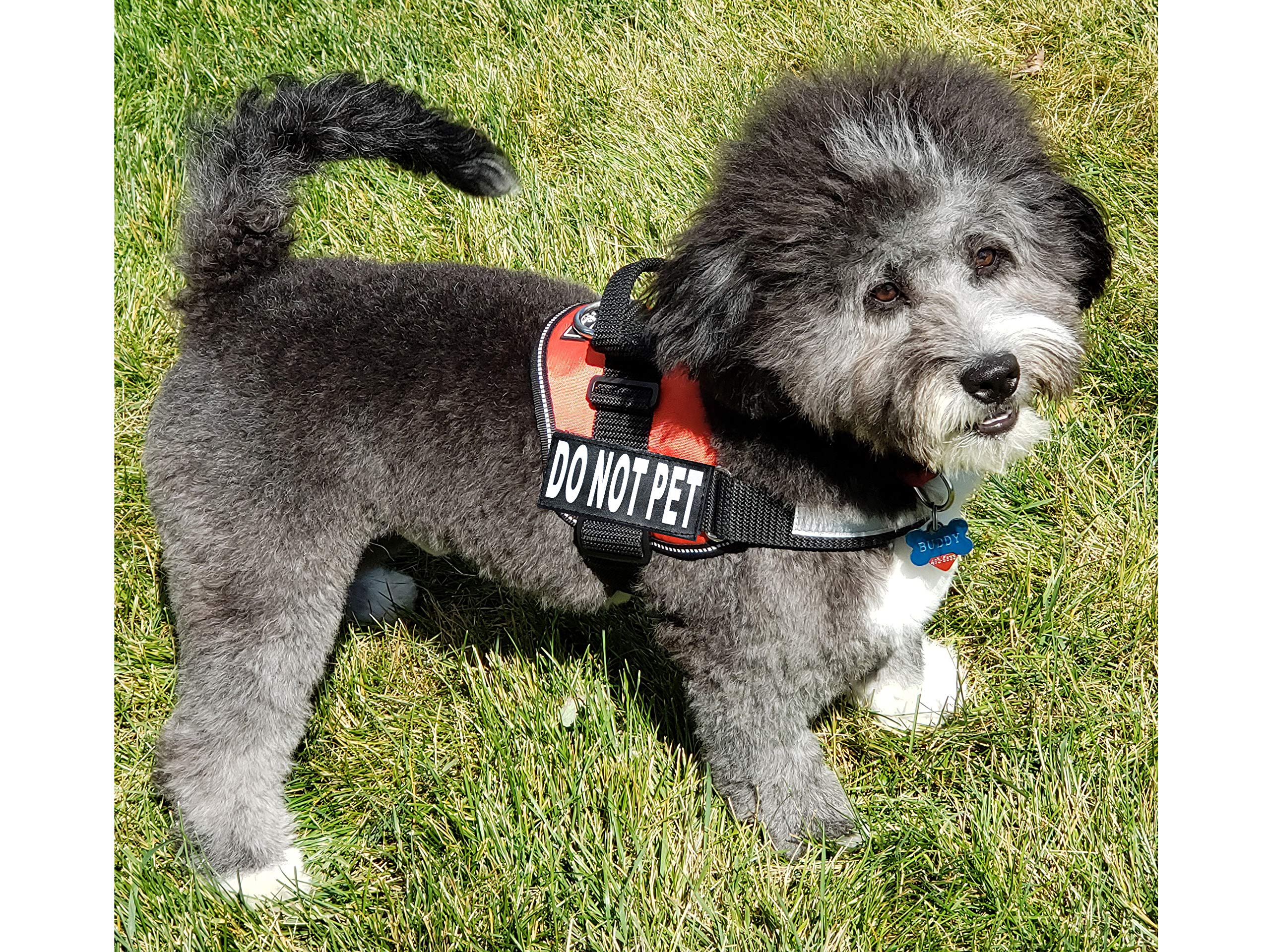 Doggie Stylz Dog Harness with DO NOT PET Patches - No Pull Service Dog Vest and Service Animal Vest for Dogs - Adjustable Gentle
