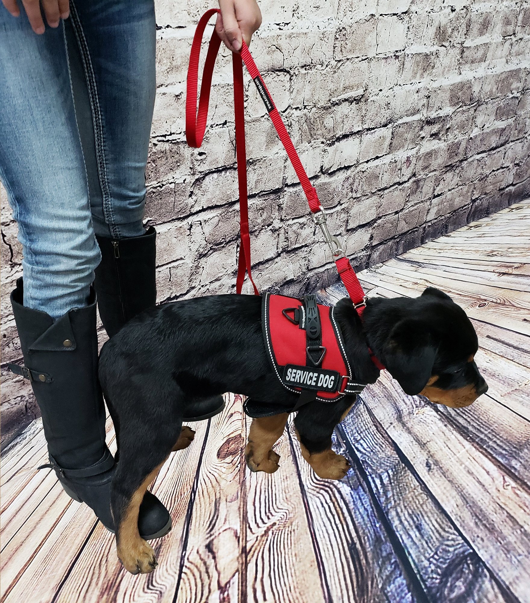 Activedogs Service Dog Vest Harness - Padded Air-Tech Dog Harness Service Dog Vest Reflective - No Pull Dog Harness For Large Dogs - Heavy-Duty Extra Large Service Dog Vest Xl Girth 29'-40' Royal Blue