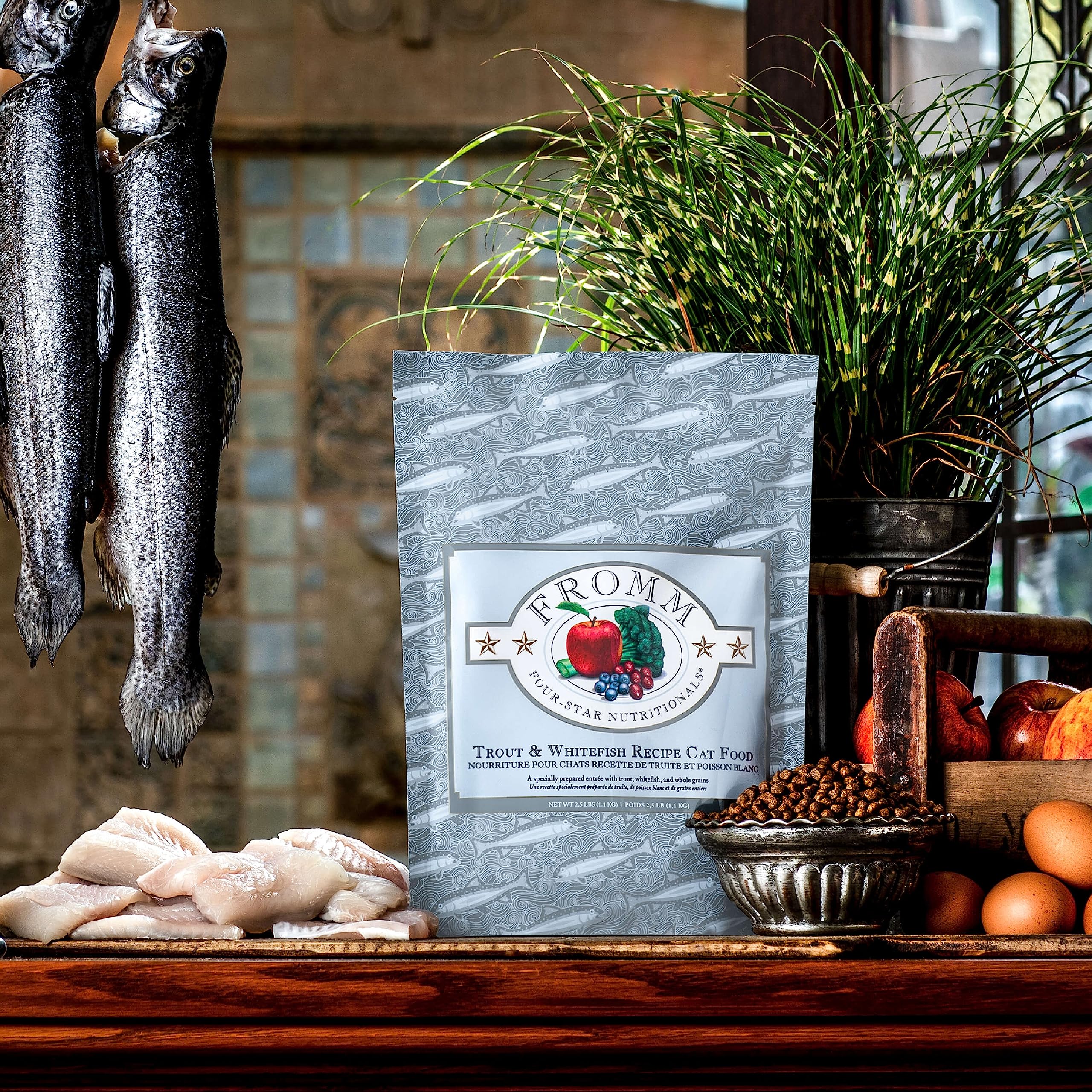 Fromm Four-Star Nutritionals Trout & Whitefish Cat Food - Premium Dry Cat Food - Trout Recipe - 10 lb