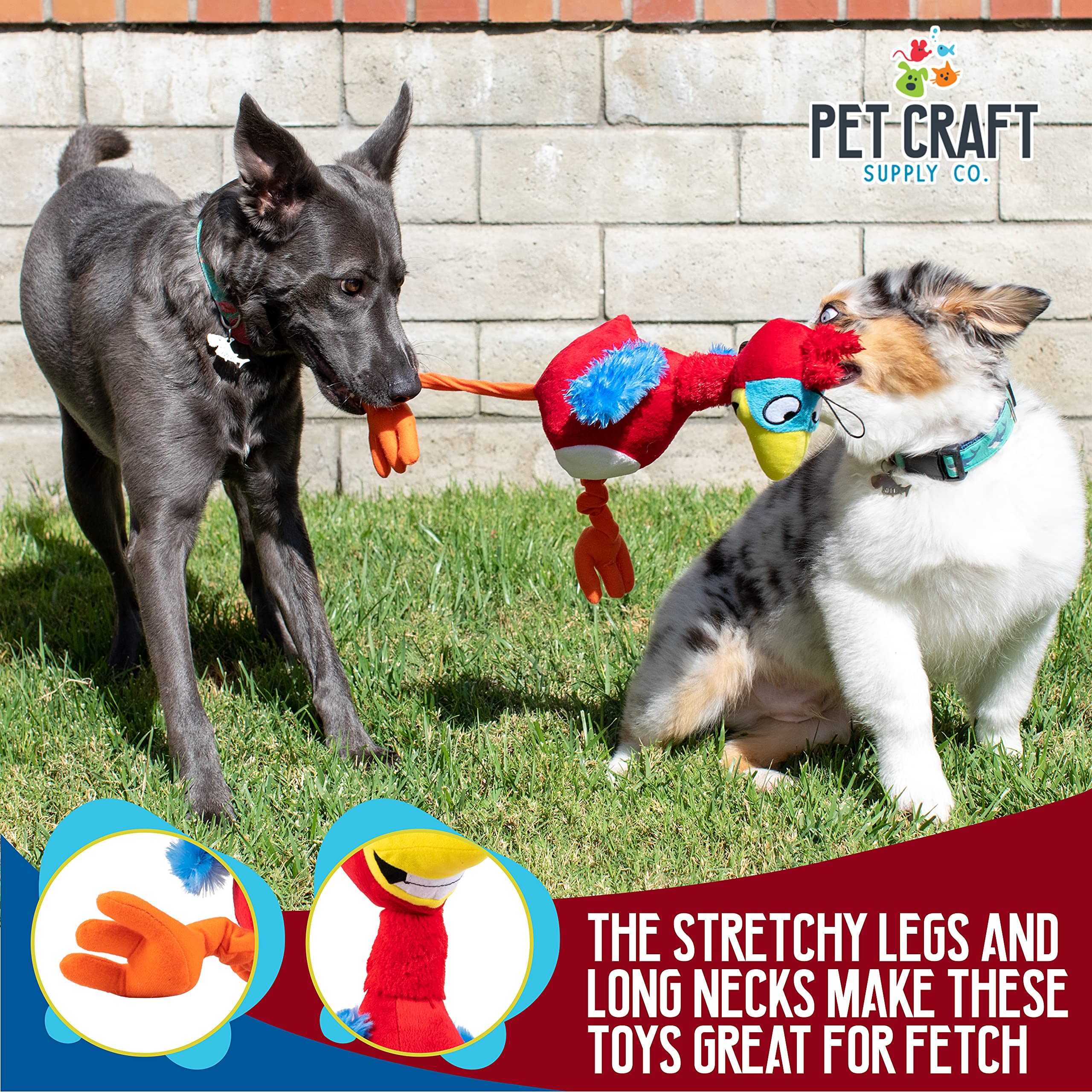 Pet Craft Supply Giggling Puffin & Parrot Multi Pack Interactive Dog Toys With Sound For Large Breed And Small Dogs Soft Chew Pl