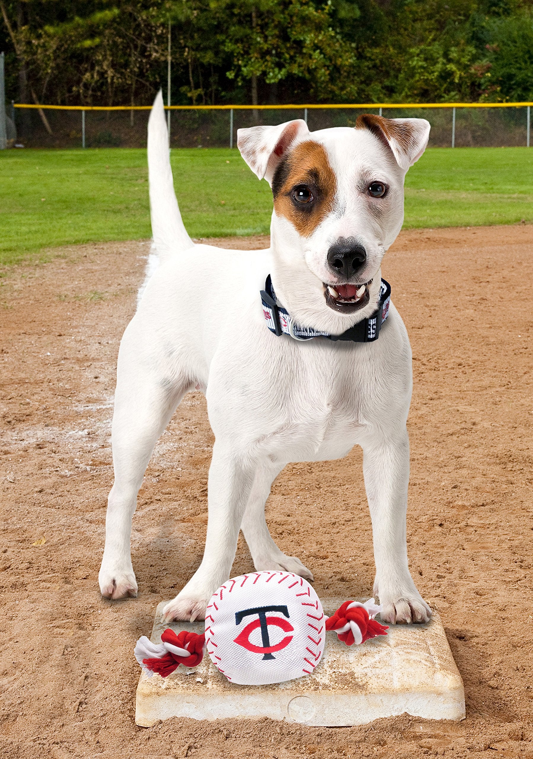 Mlb Minnesota Twins Baseball Rope Toy For Dogs & Cats. Tough Nylon, Sporty Baseball Design, Heavy-Duty Ropes With Inner Squeaker