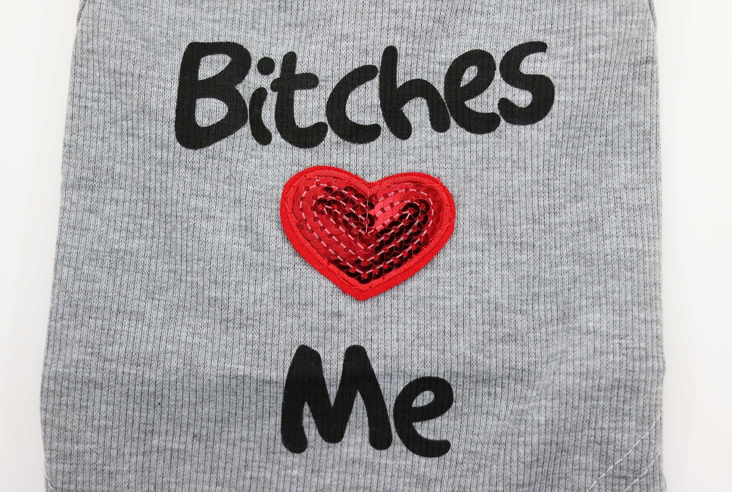 Droolingdog Pet Clothes Bitches Love Me Dog Shirt For Cats And Small Dogs, Small, Grey