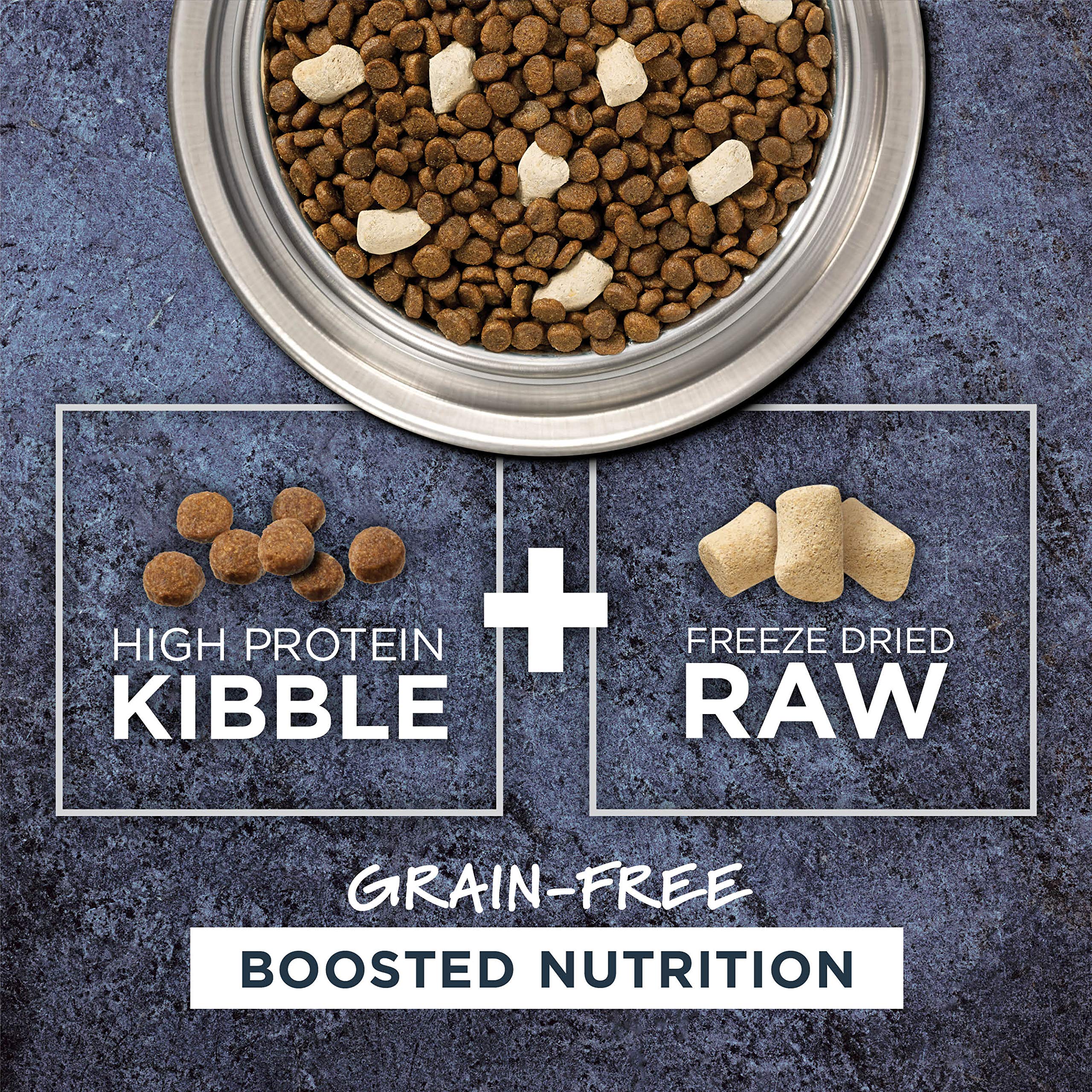 Instinct Raw Boost Grain Free Recipe with Real Salmon Natural Dry Cat Food by Natures Variety, 4.5 lb. Bag