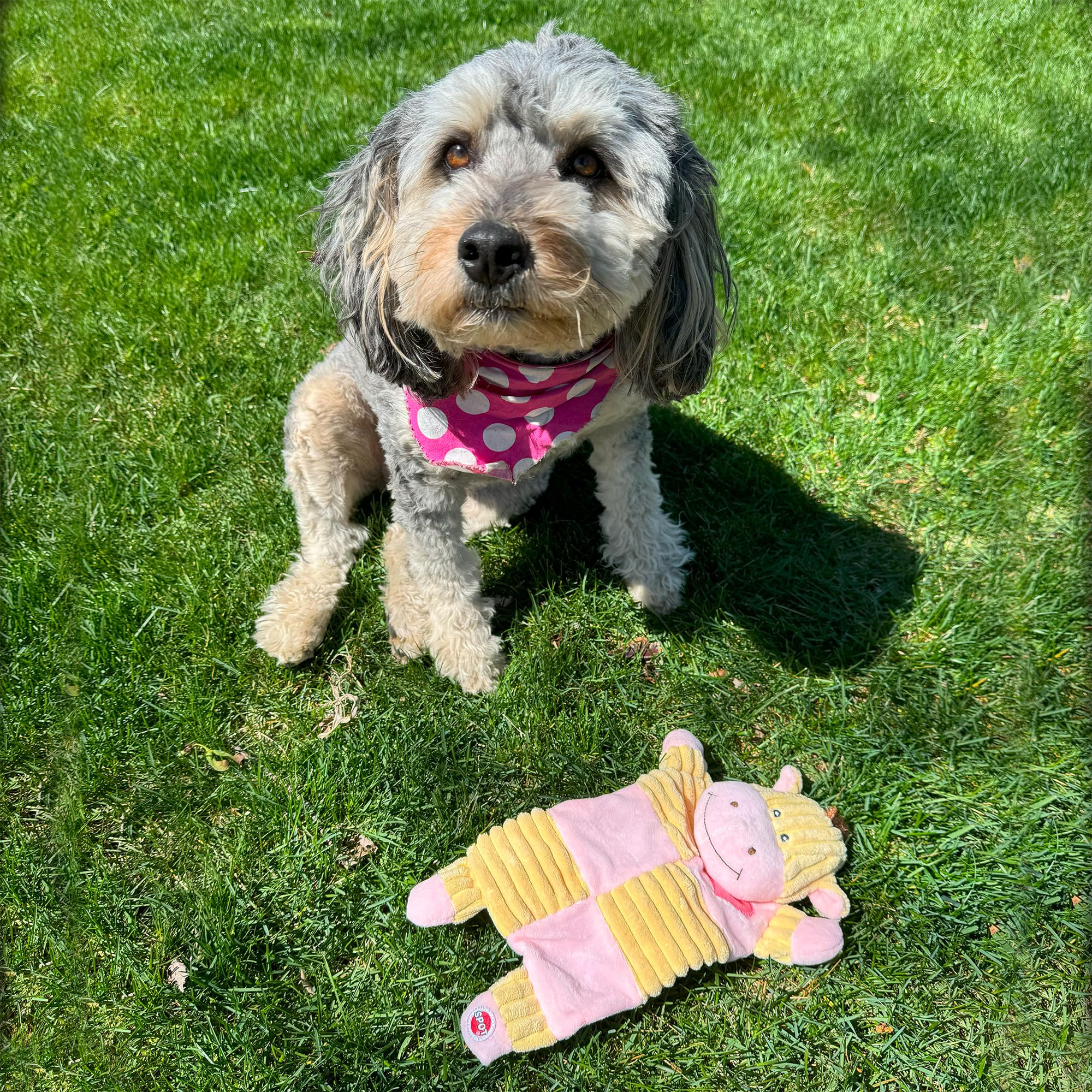 Spot Soothers- Crinkle Paper Dog Toy-Separation Anxiety Toys For Dogs, Stuffing Free, Scented With Calming Lavender Fragrance Beads To Safely Calm & Relax Dogs And Puppies, 13In