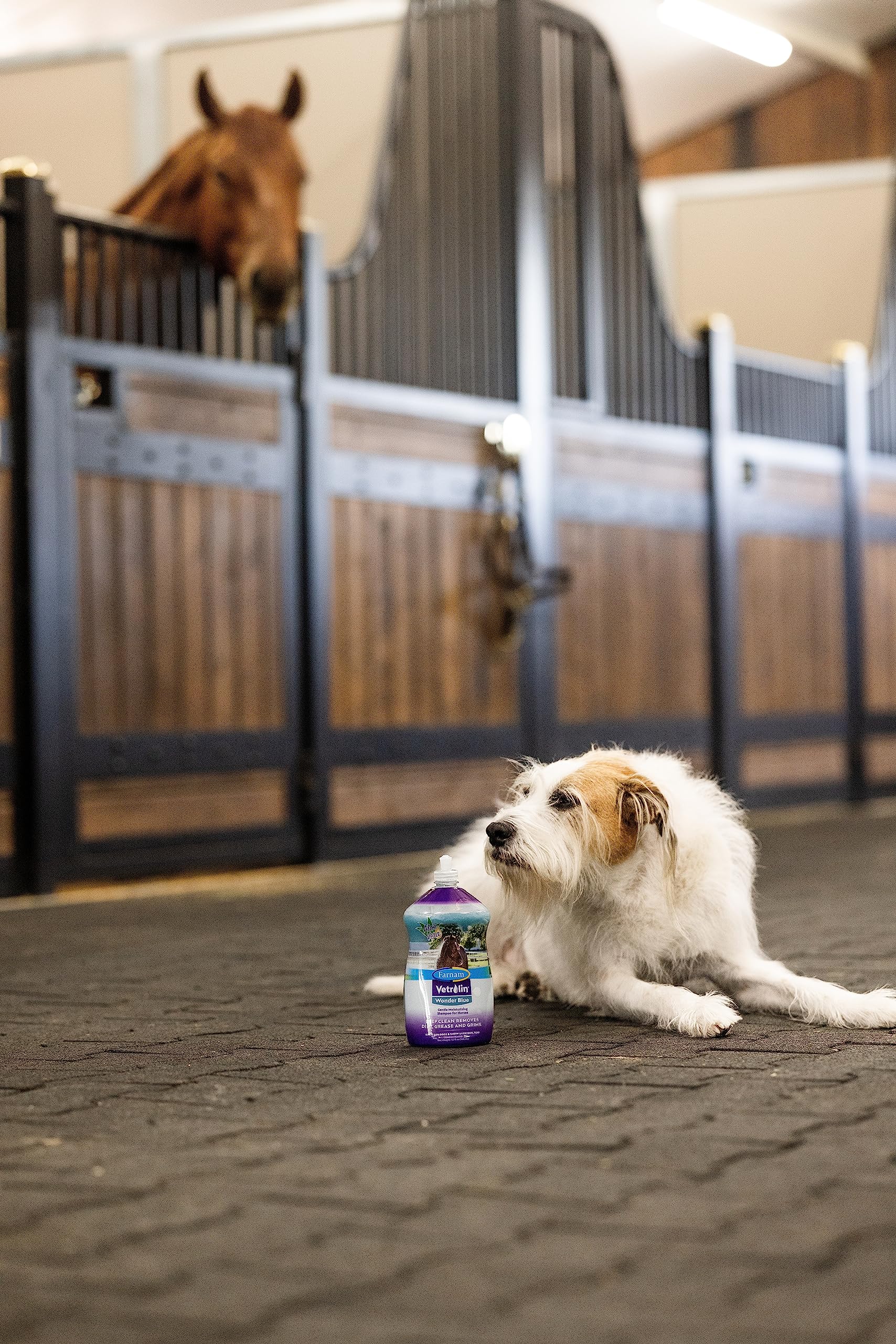 Farnam Vetrolin Wonder Blue Gentle Moisturizing Shampoo for Horses, Livestock and Dogs Blue 32