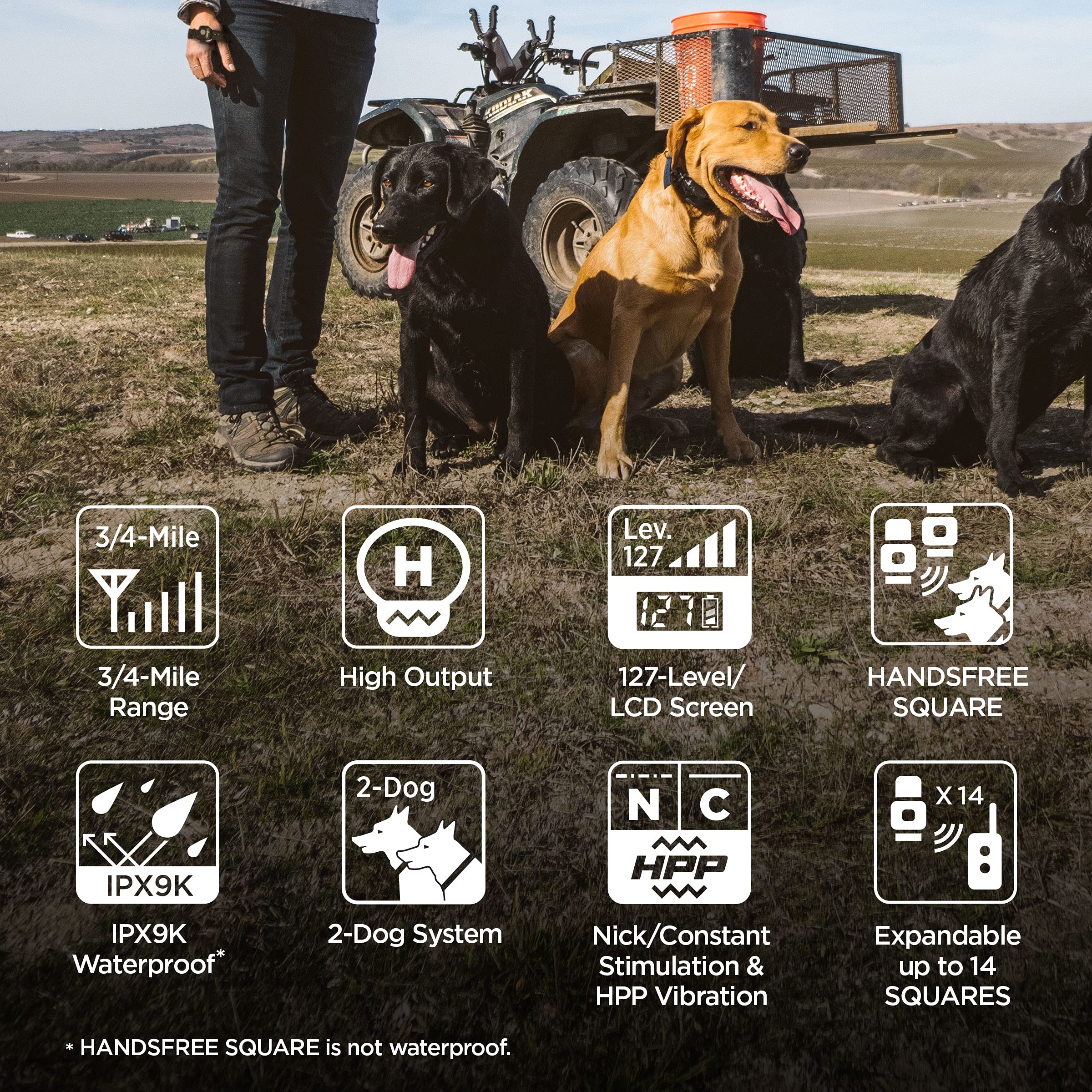 Dogtra 1902S Handsfree Plus 2-Dog Remote Dog Training E-Collar With Expandable Handsfree Square For Discreet Control Ergonomic Rechargeable 3/4-Mile Range Waterproof High-Output