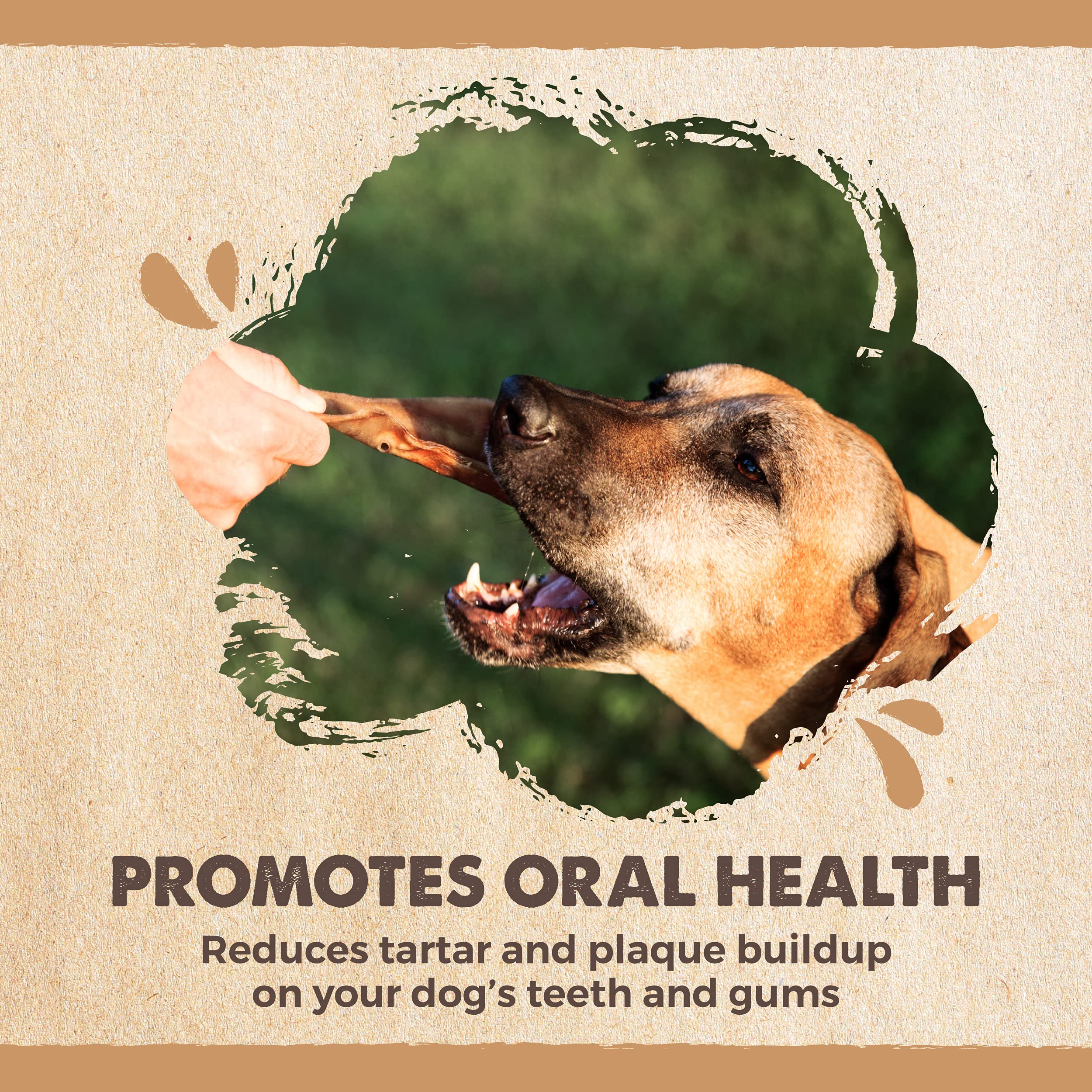Mighty Paw Half Pig Ears for Dogs | All Natural Dog Treats. Single Ingredient Pig Ear Dog Treats. Better Than Rawhide Dog Snacks