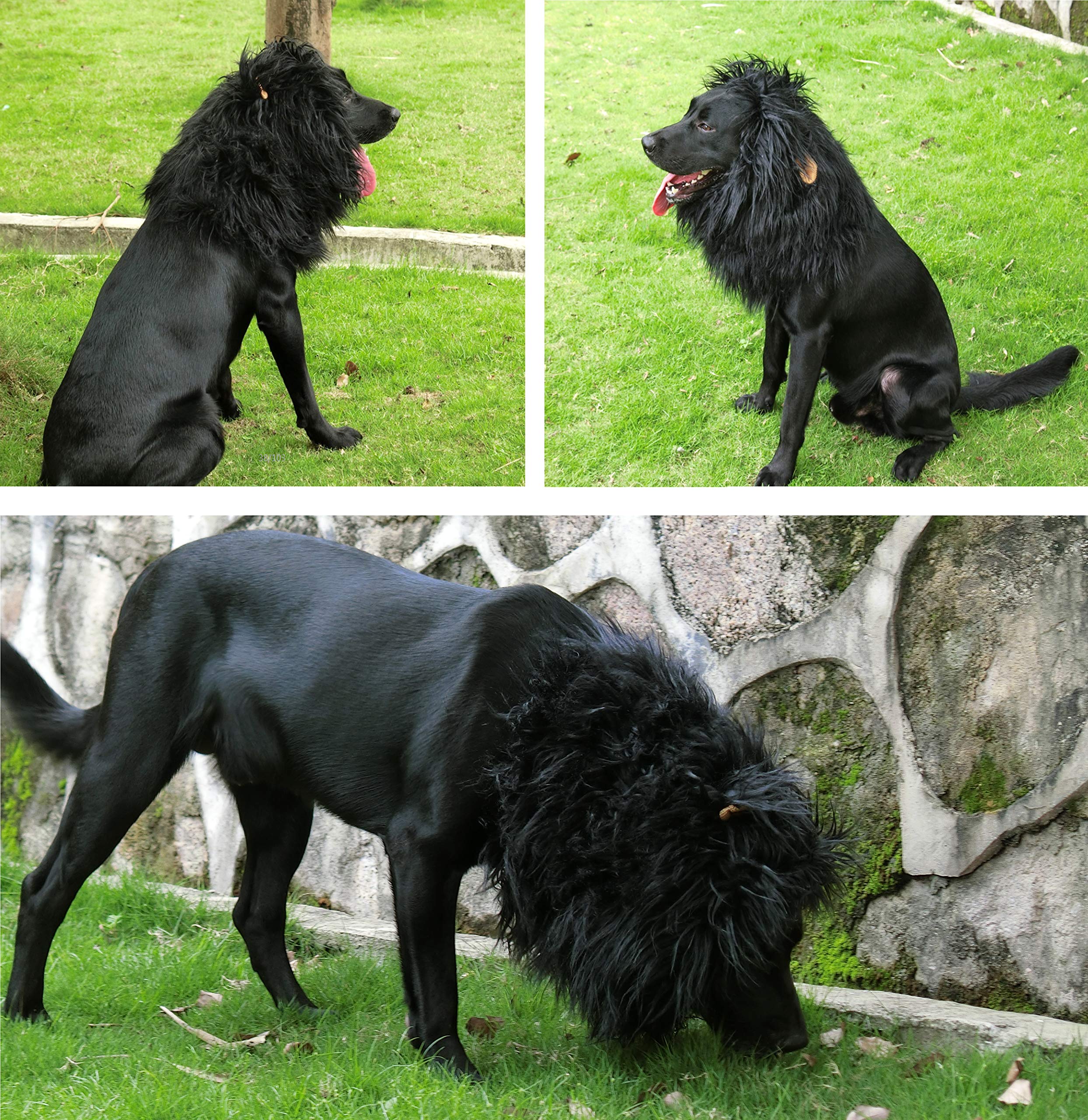 Onmygogo Lion Mane Wig For Dogs With Ears, Funny Pet Costumes For Halloween Christmas (Size L, Coffee)