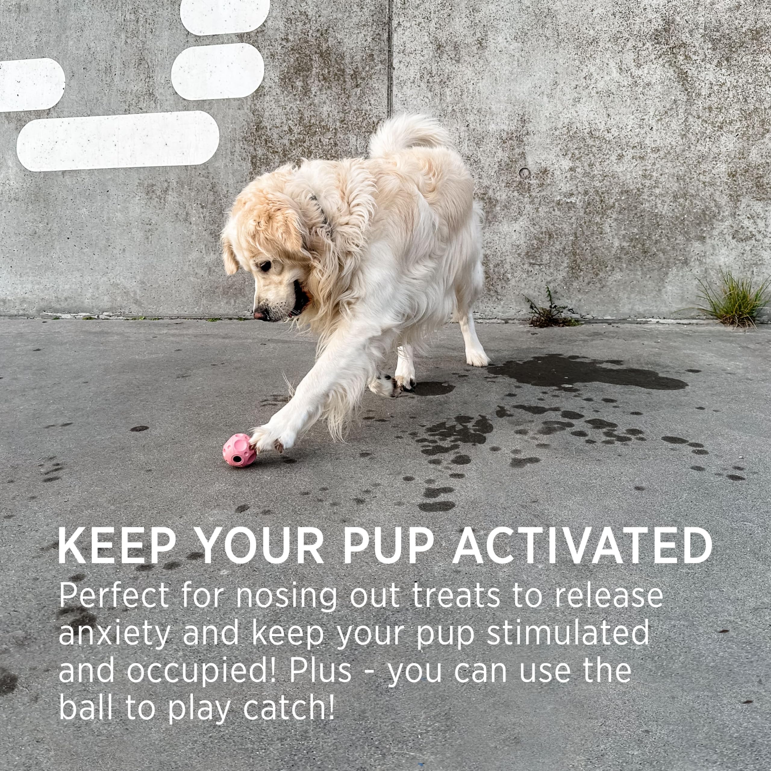 Hevea Moon 2-In-1 Dog Activation & Fetch Toy - Natural Rubber Dog Treat Ball - Active Rolling Toy For Sore Gum Relief (Hunter Gr