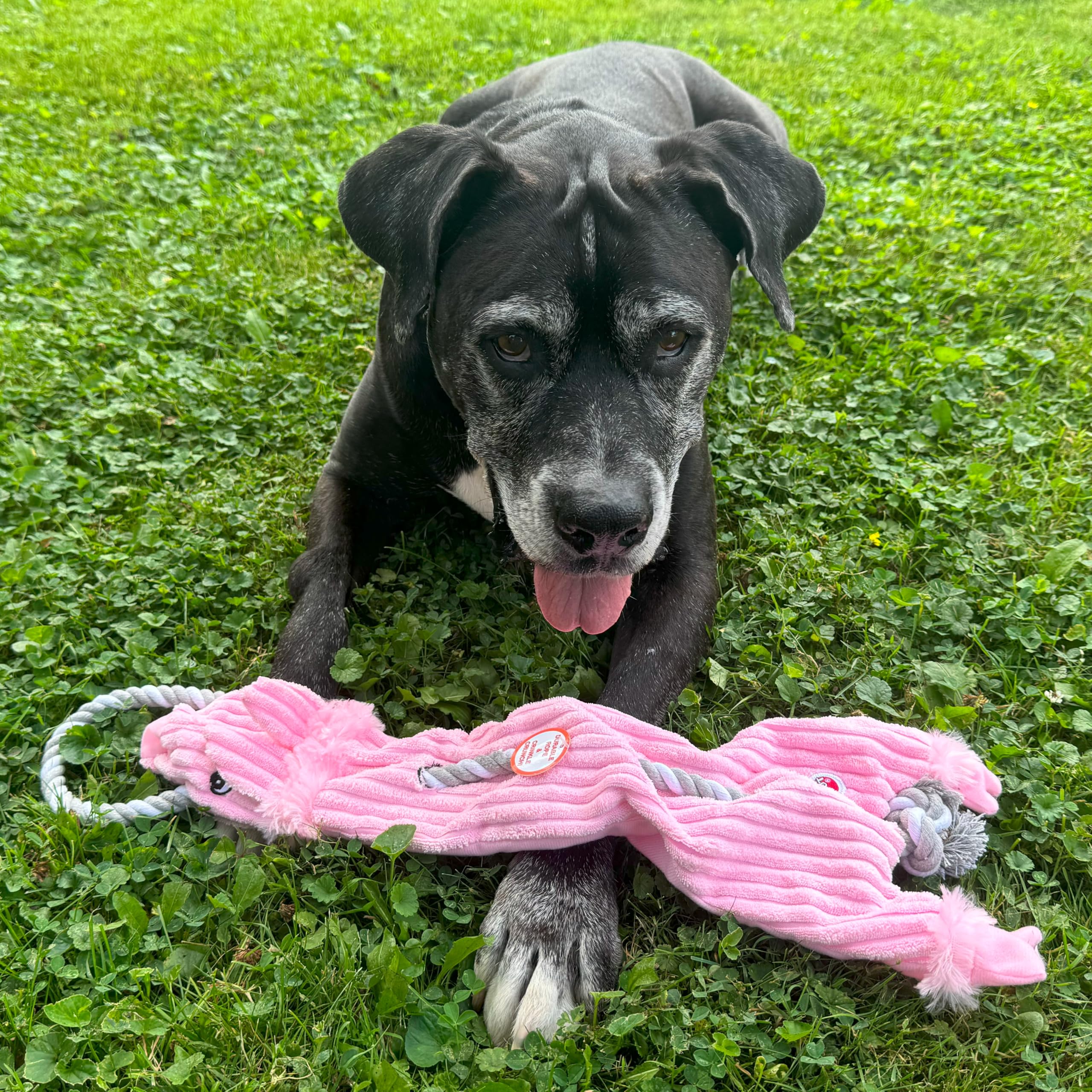 Spot Skinneeez Barnyard Tug Dog Toy - Rope Design For Strong Chewers, Squeaker & Crinkle, Stuffing-Free, Tug Toy For Medium To Large Dogs & Puppies -23 Inch, Style Varies