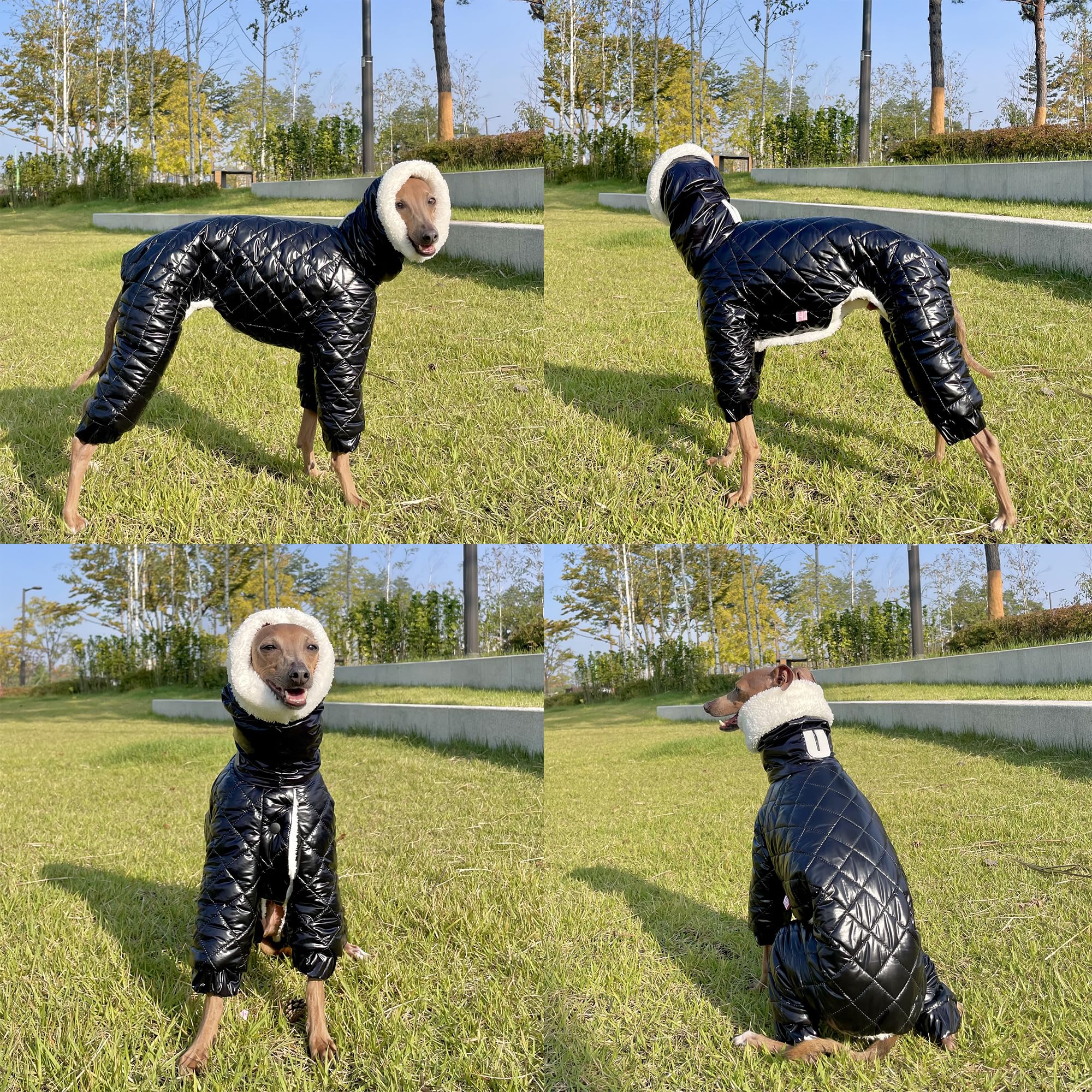 D Doggy Star Italian Greyhound Snowsuit Winter Thick Padded Coat Warm Outfits Jacket Turtleneck Clothes Whippet For Dog (3Xl,Sno
