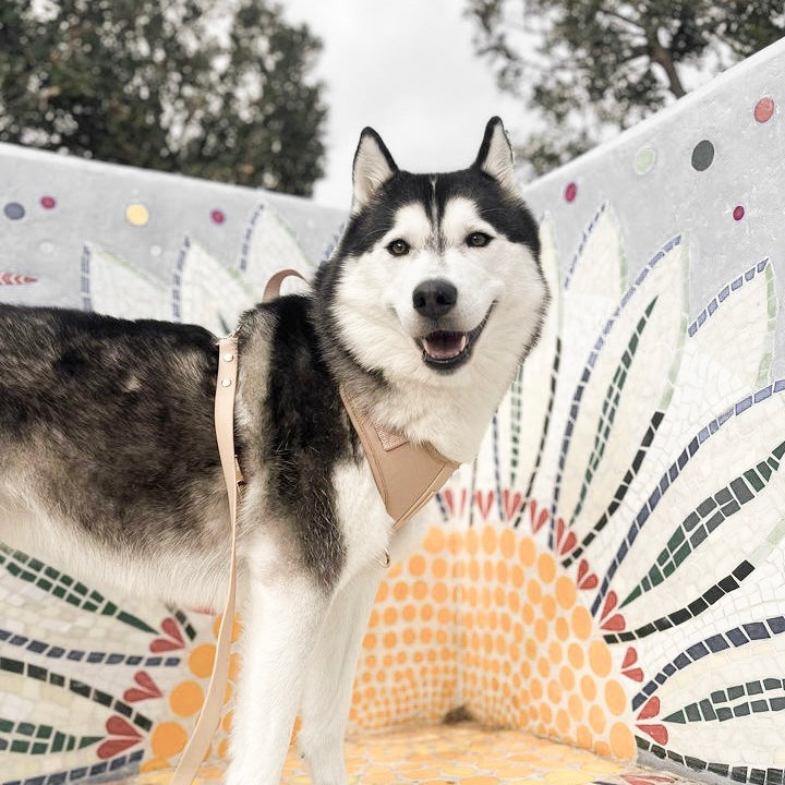 Fur Elise Essentials Walk Set - Sand