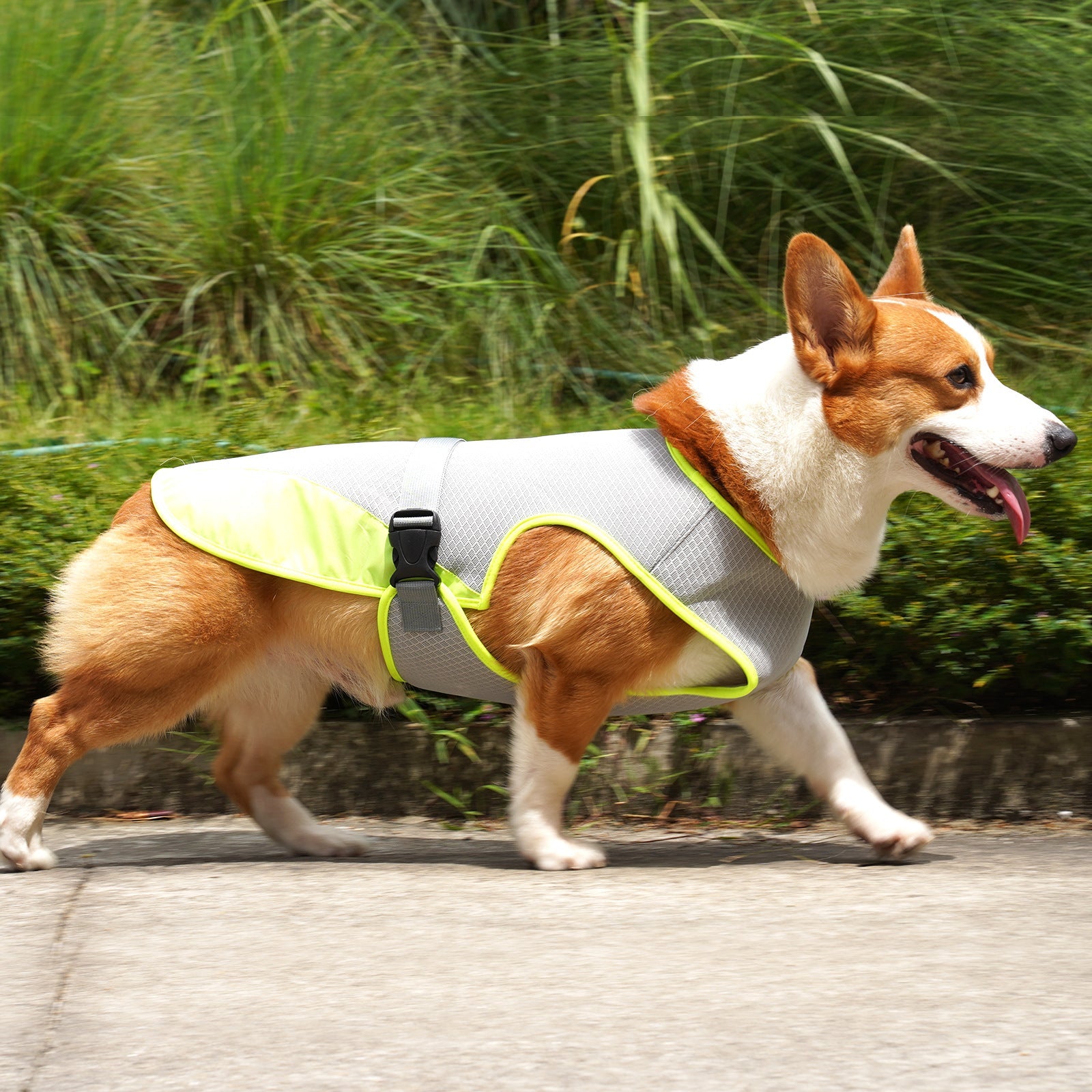 Dog Cooling Vest for Hot Weather – Breathable Summer Harness for Dogs 5–35kg