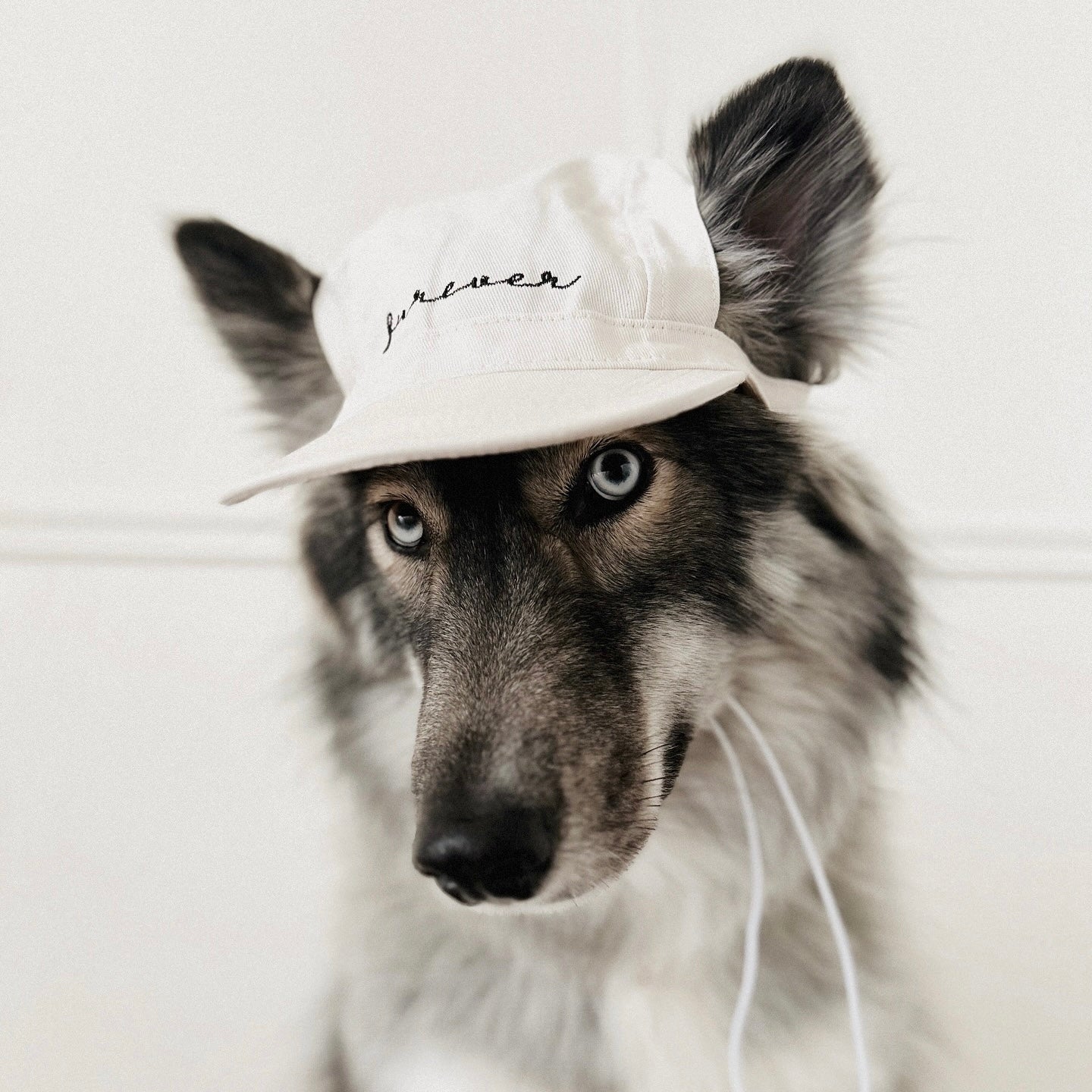 Fur Elise Furever Hat Bundle