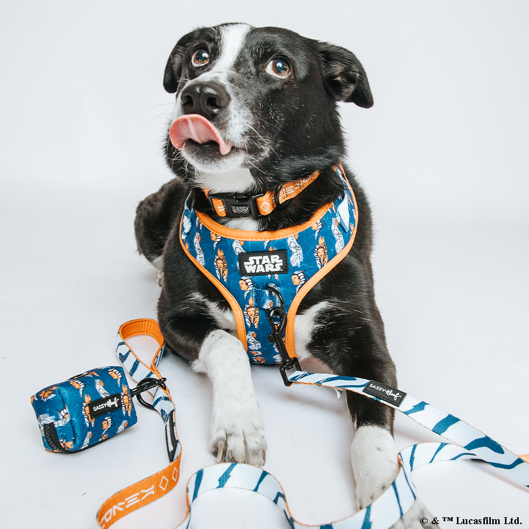 Dog Leash - STAR WARS™ Ahsoka