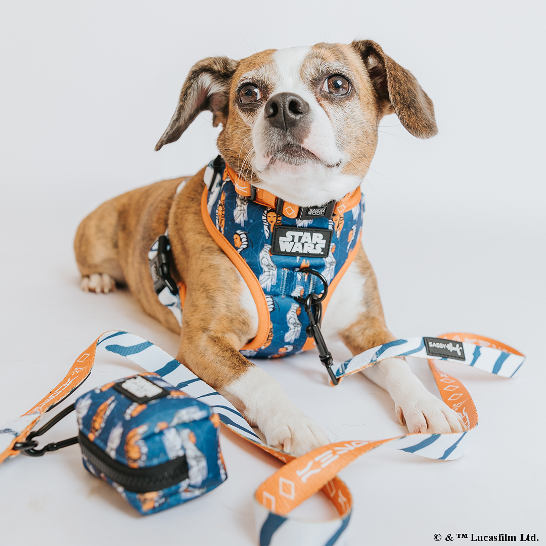 Dog Leash - STAR WARS™ Ahsoka