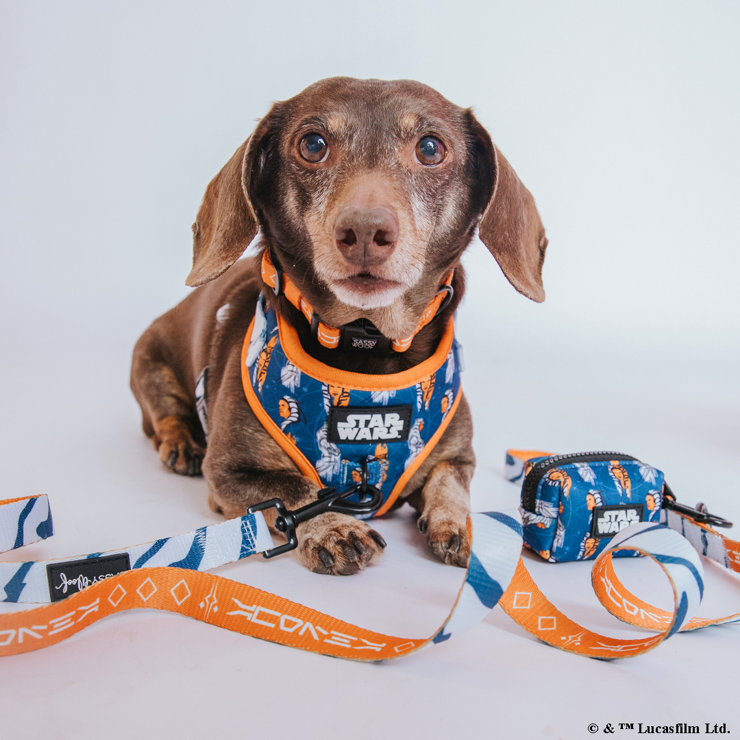 Dog Leash - STAR WARS™ Ahsoka