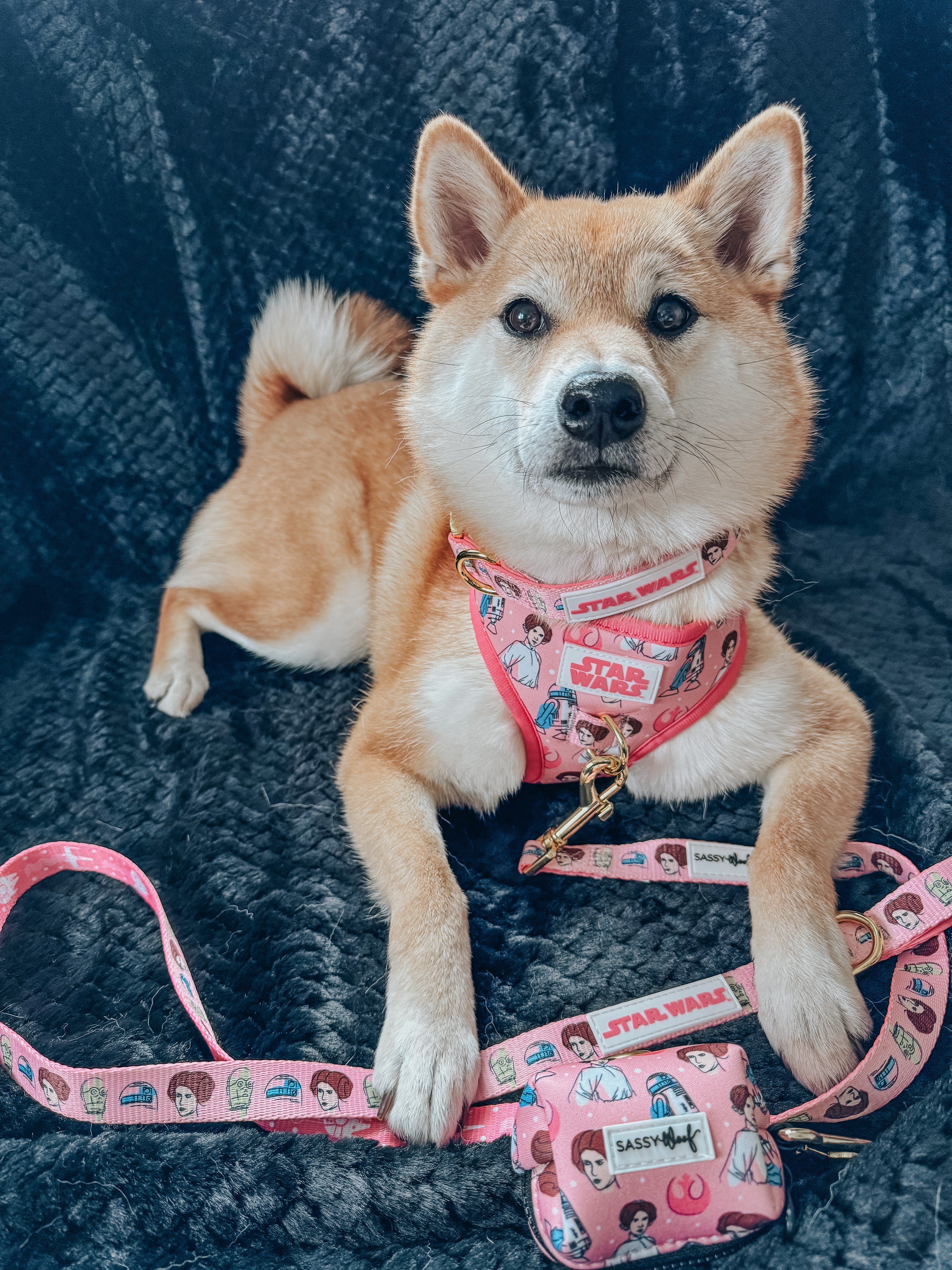 Dog Leash - STAR WARS™ Princess Leia