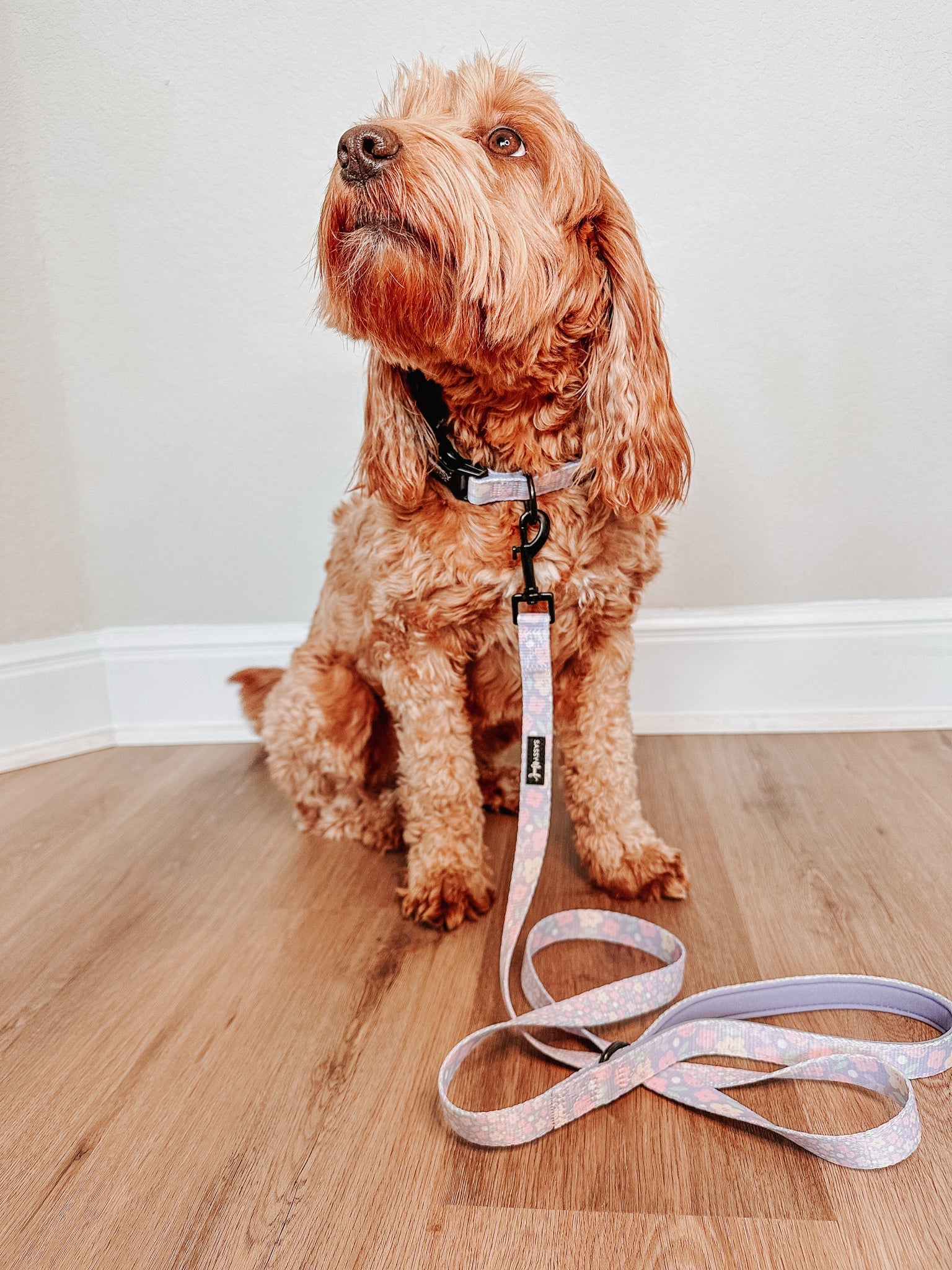 Dog Leash - Fleur de Sass