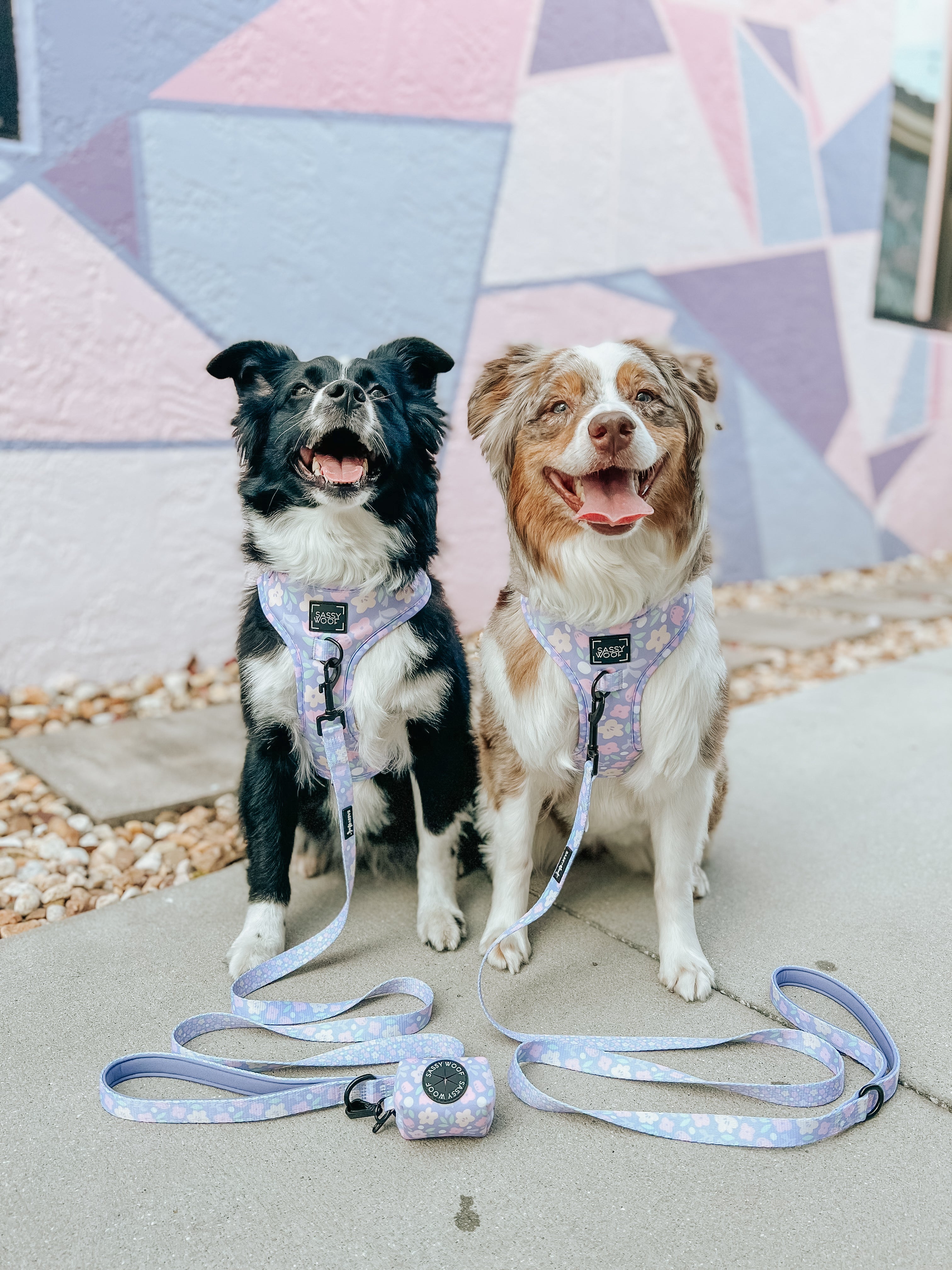 Dog Leash - Fleur de Sass