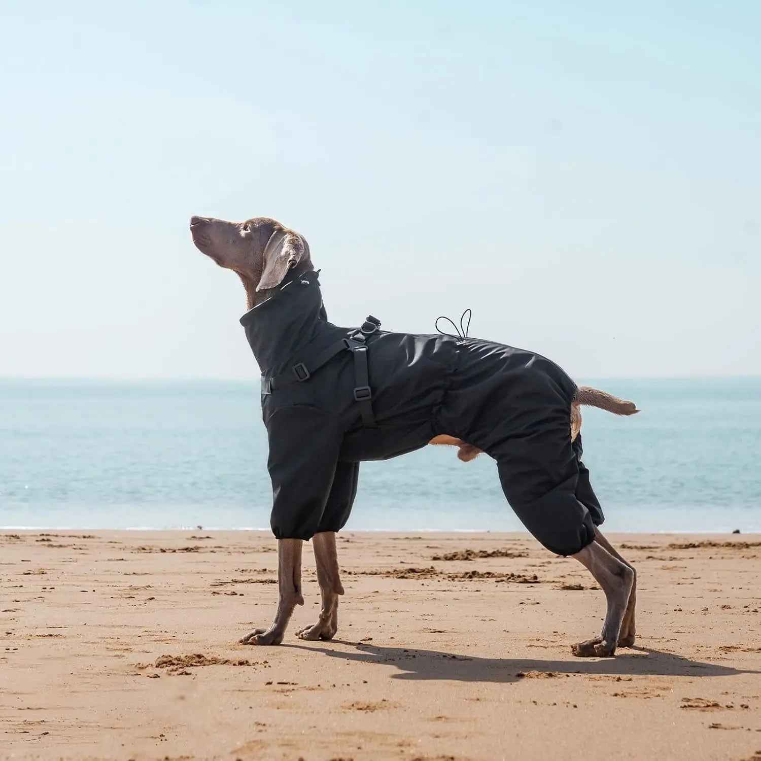 Adjustable Waterproof Dog Raincoat with Harness Reflective 4-Leg Jacket S–5XL