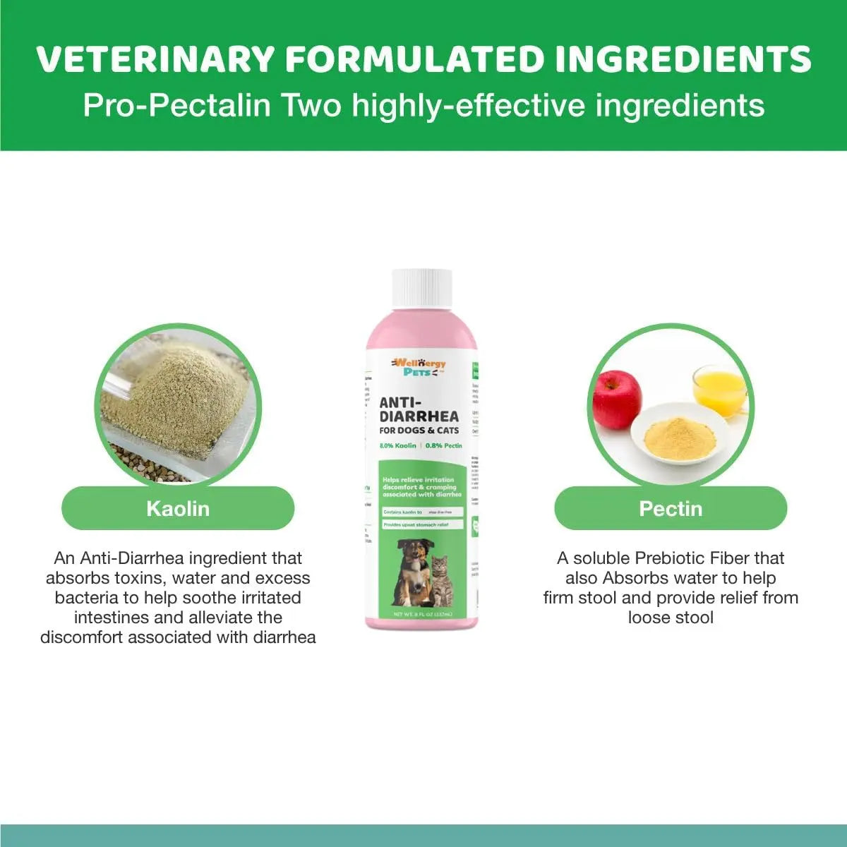 Anti Diarrhea Liquid for Dogs - Dog Diarrhea Relief with Kaolin (4 Oz.)