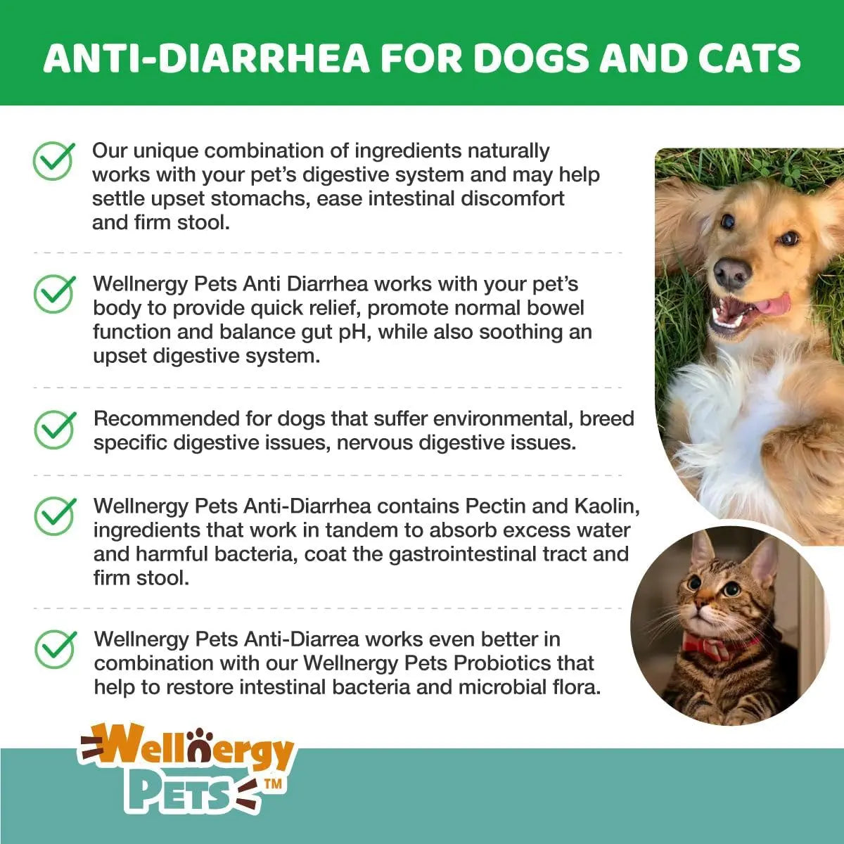 Anti Diarrhea Liquid for Dogs - Dog Diarrhea Relief with Kaolin (4 Oz.)