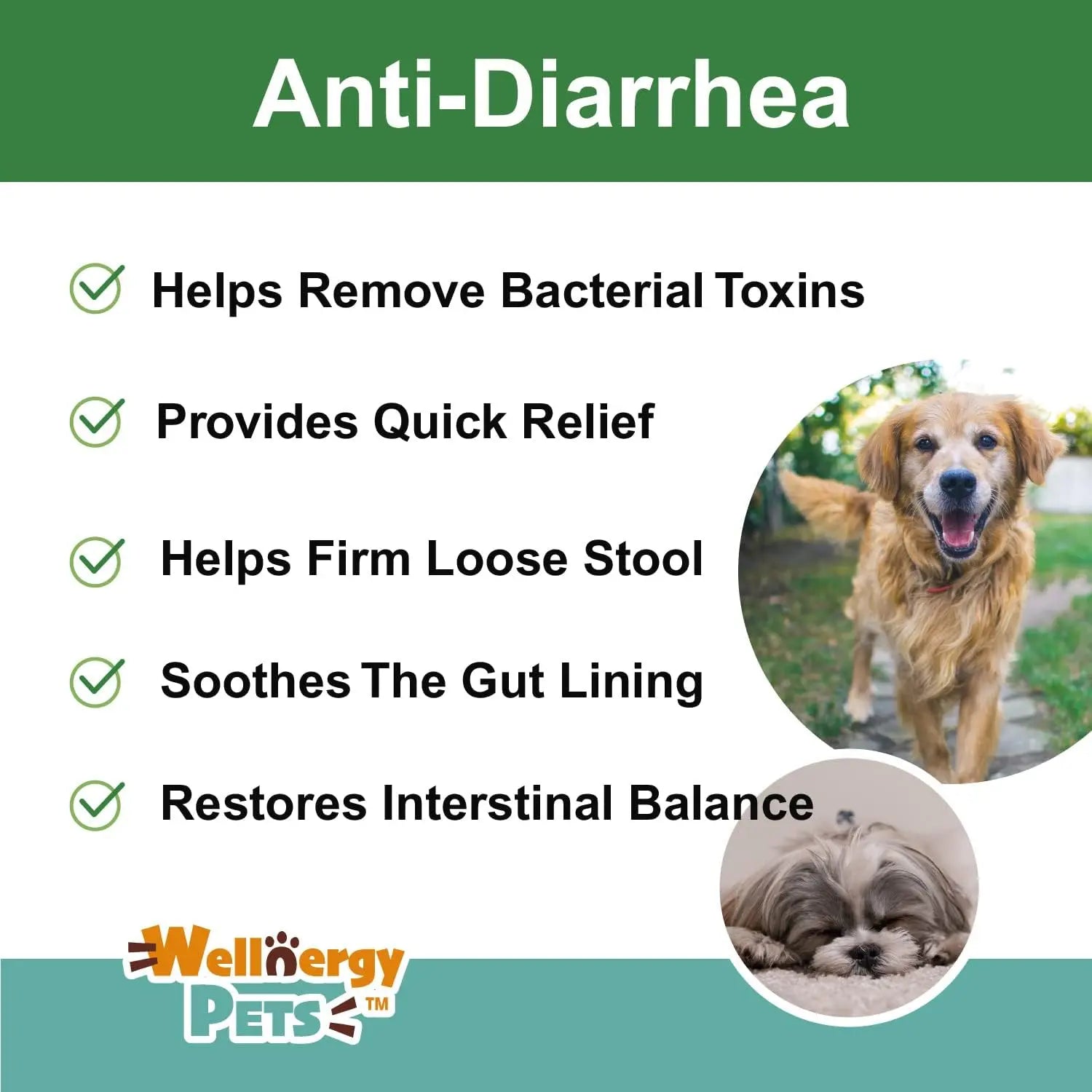 Anti Diarrhea Liquid for Dogs - Dog Diarrhea Relief with Kaolin (4 Oz.)