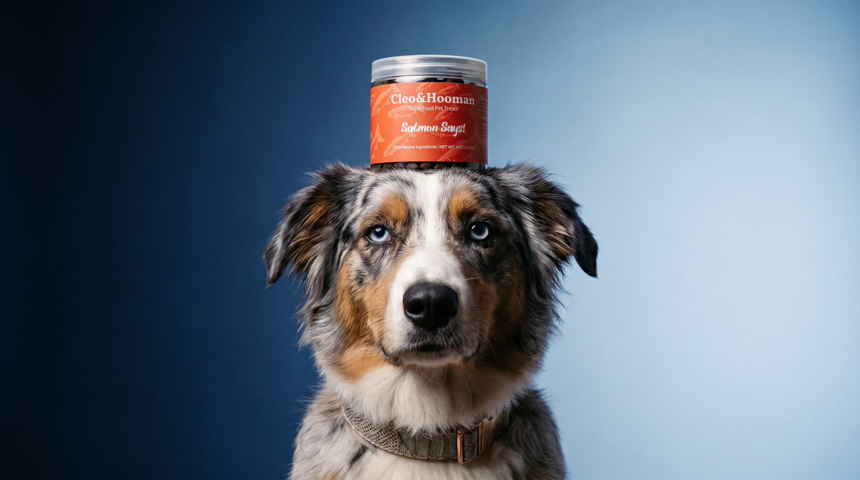 Salmon Says! — Superfood Pet Treats