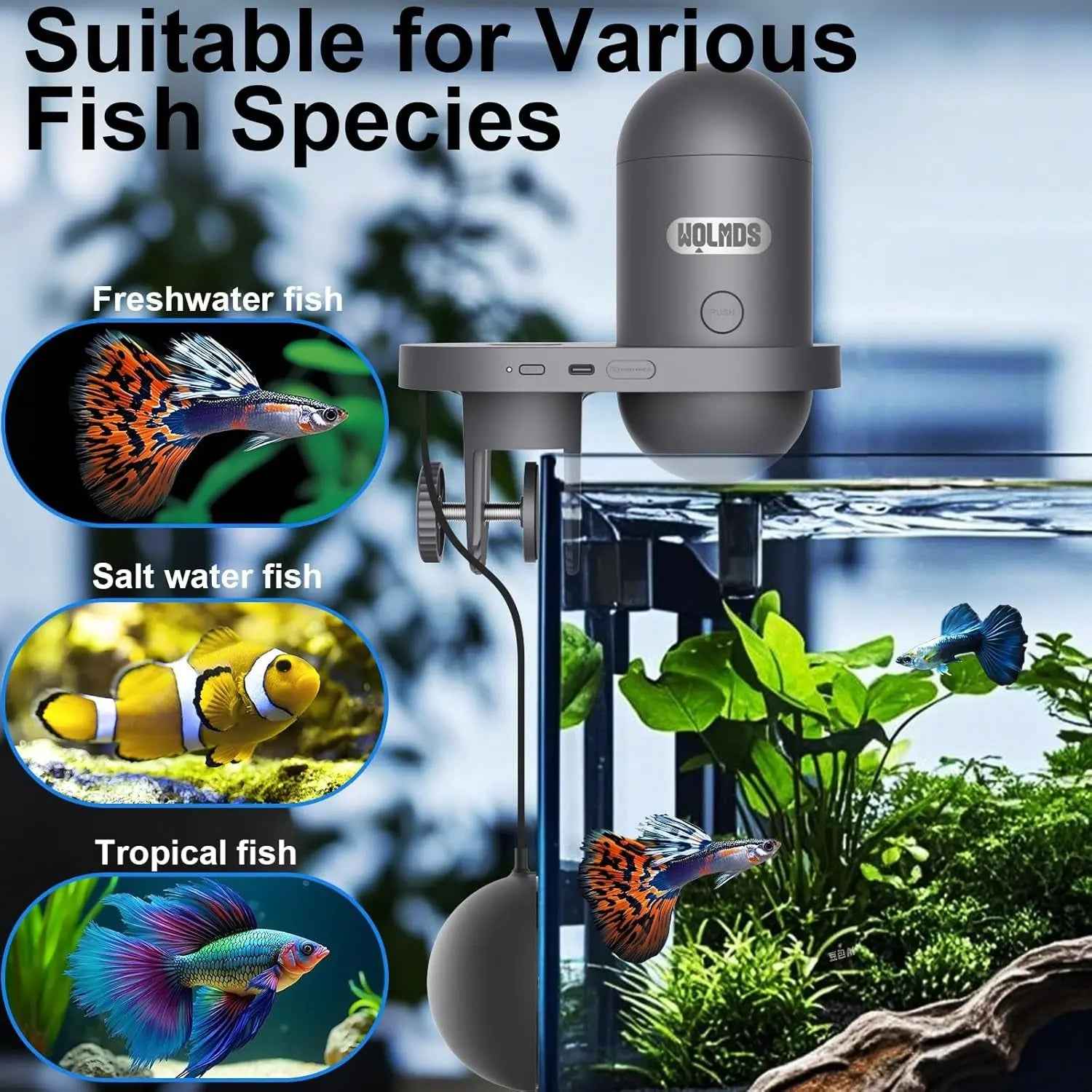 Automatic Fish Feeder WiFi (2.5 & 5G) 2.5K Camera App Control 230ML Tank