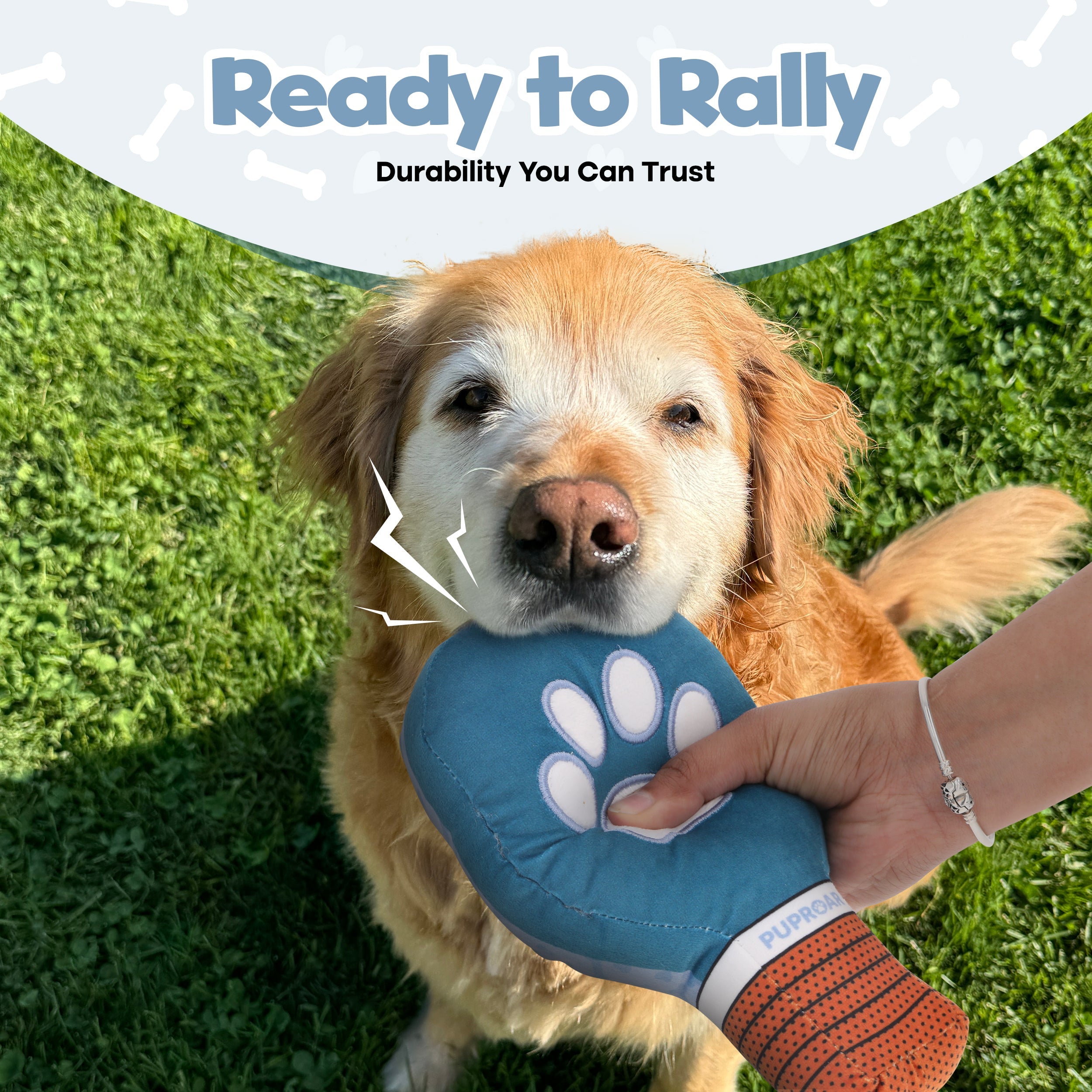 Pickleball Squeaky and Crinkle Paper Dog Toy -Funny Pickle Ball Puppy Gift