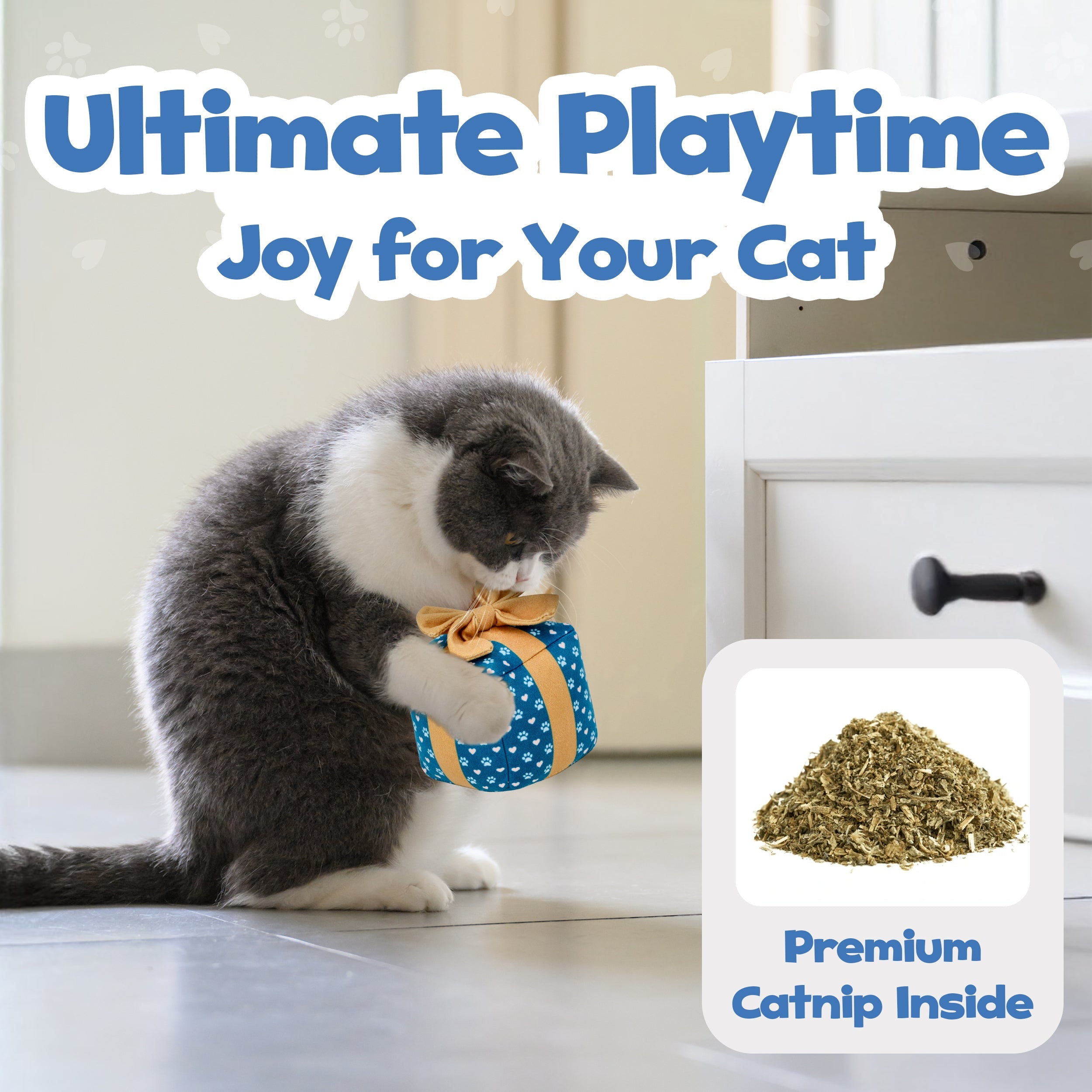 Cat Gift Box Catnip Toy – Crinkle Cat Toy for Indoor Cats, Cute Plush Birthday Present Kitty Toy with Catnip Inside