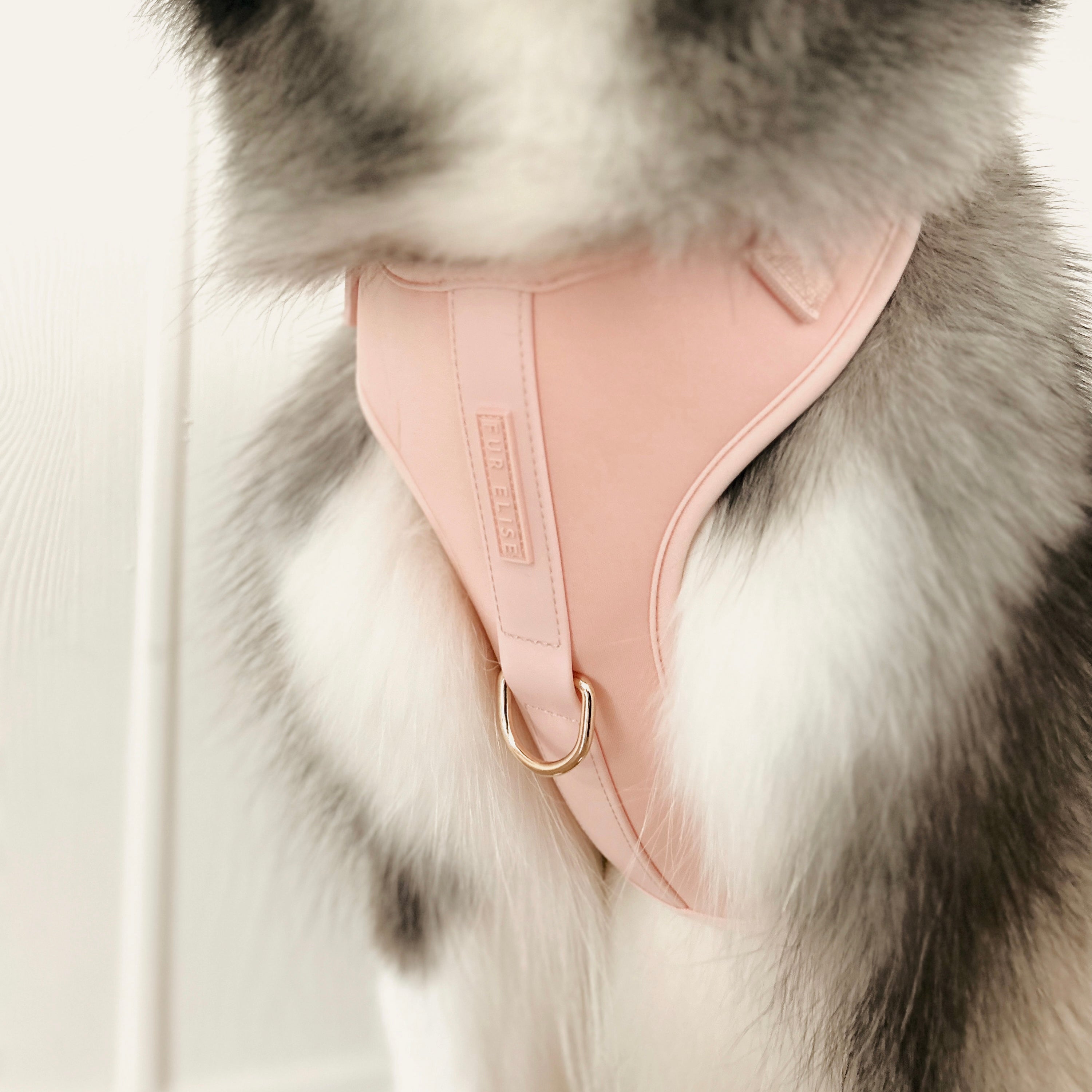 Fur Elise Essentials Walk Set - Rose