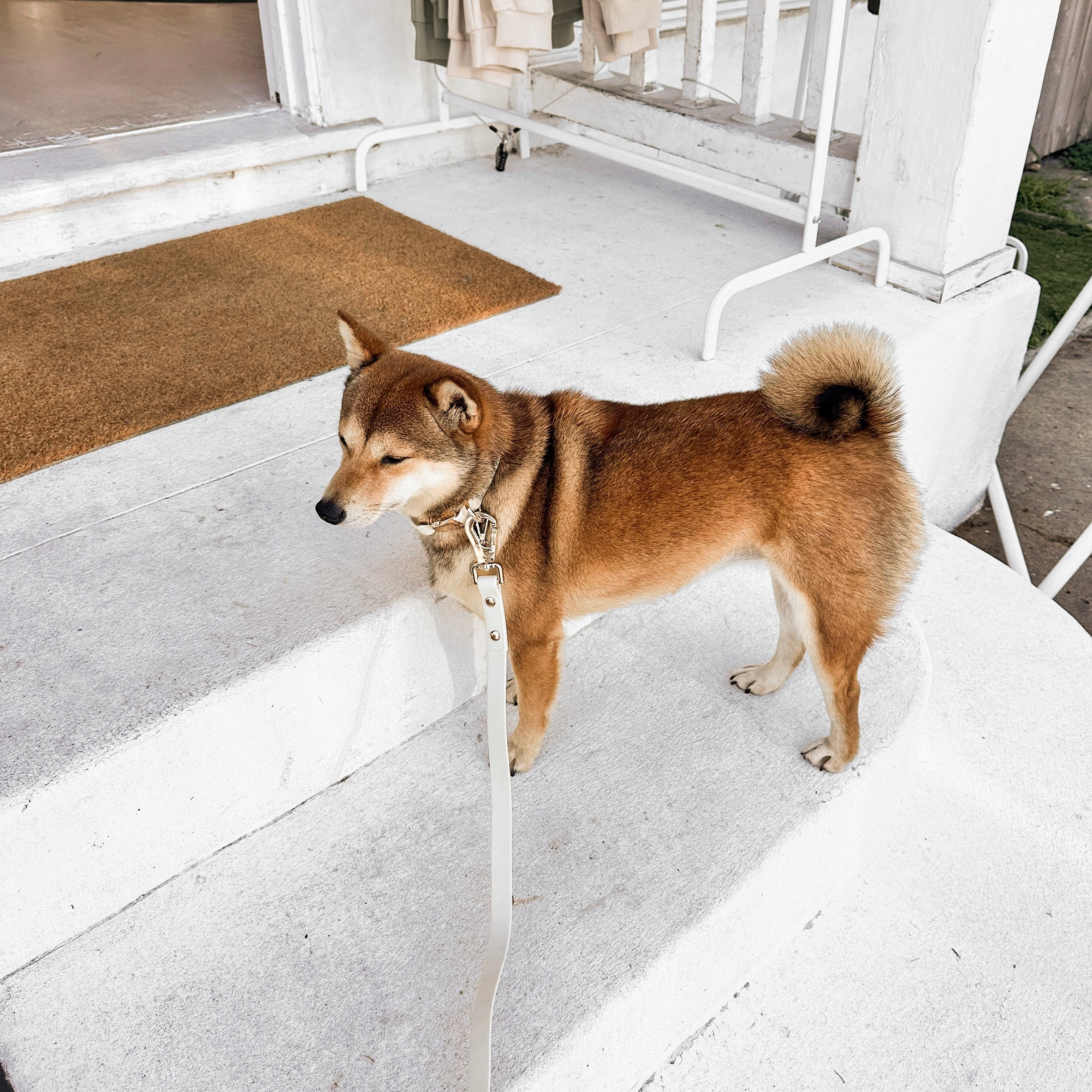 Fur Elise Collar & Leash Set - Bone