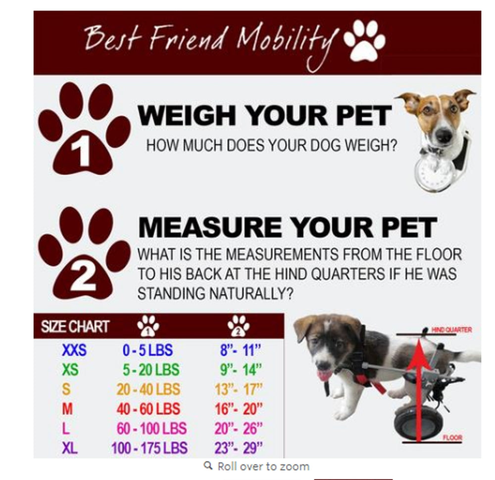 Best Friend Mobility Elite Dog Wheelchair - Small