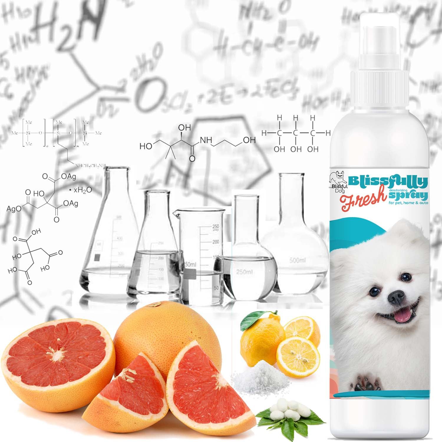 Blissfully Fresh Deodorizing Spray