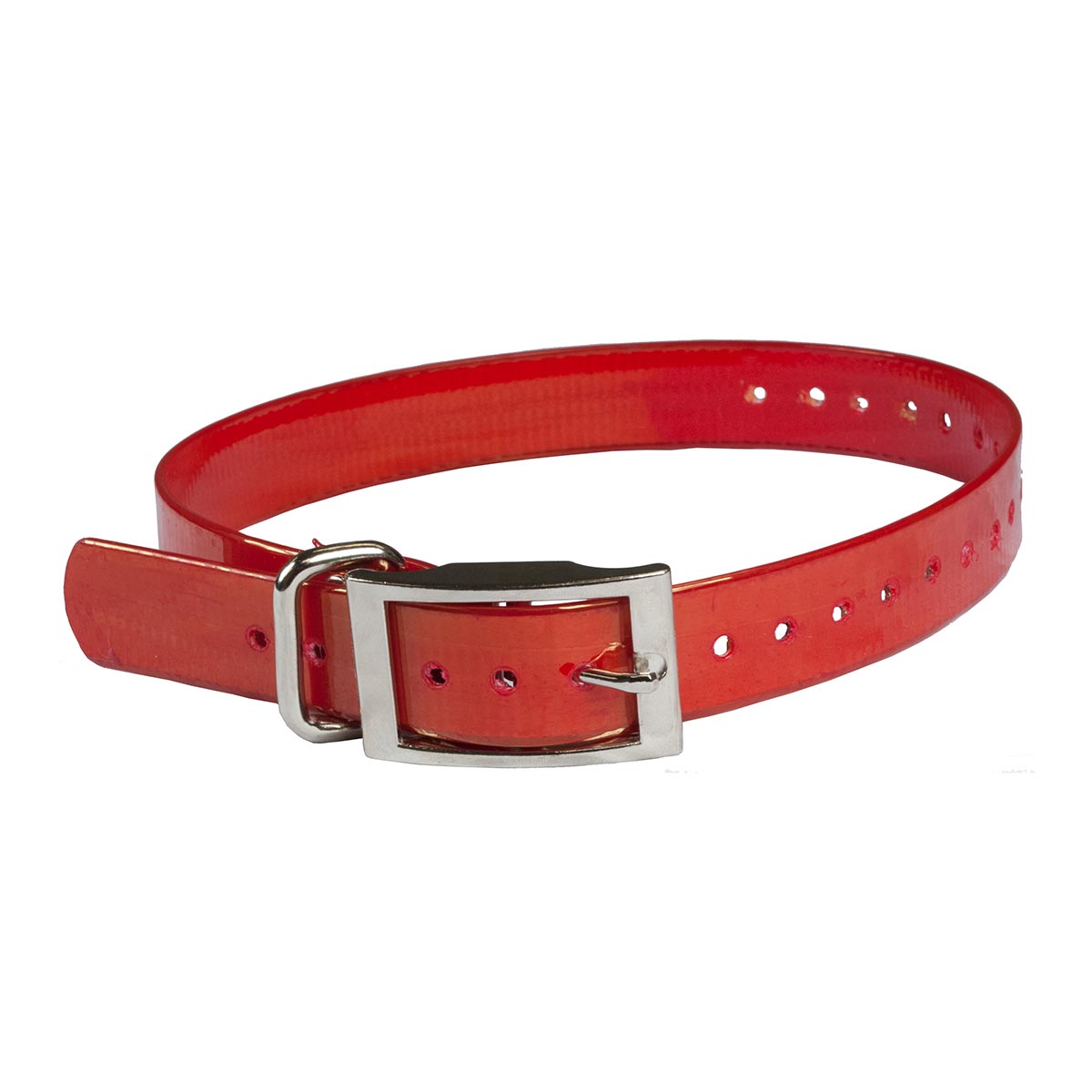 The BuzzardS Roost Collar Strap 1Inch  Red 1Inch  X 24Inch 