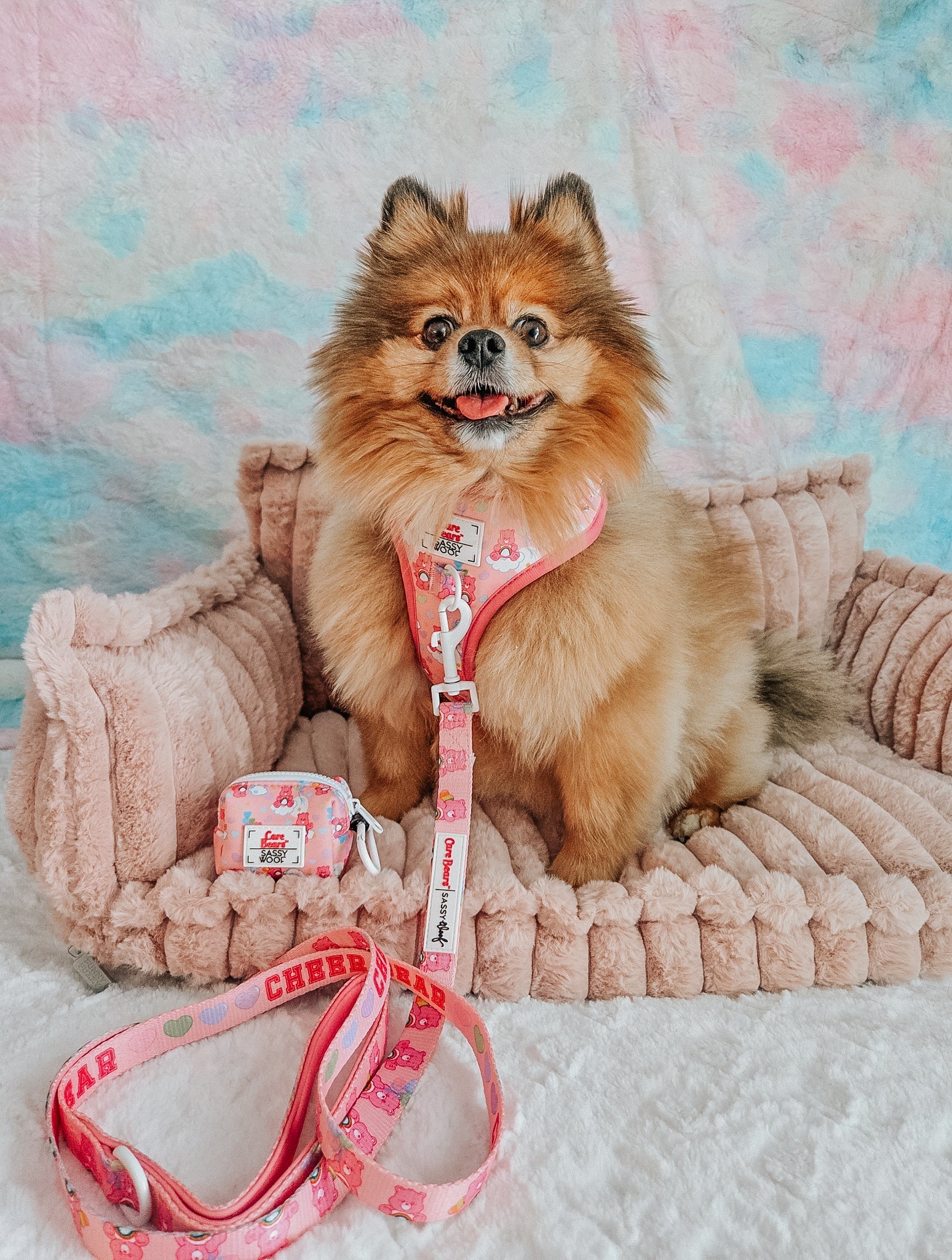 Dog Leash - Care Bears™ Cheer Bear