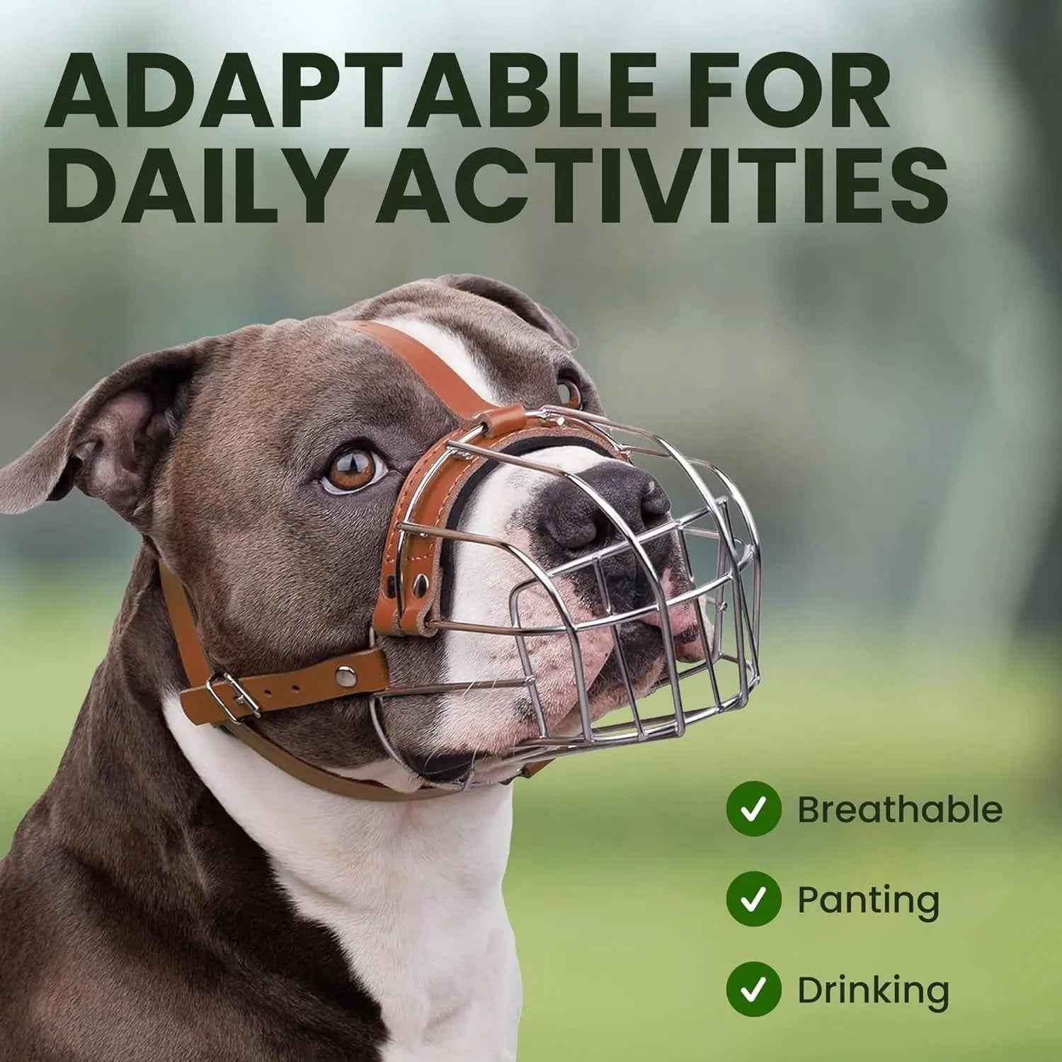 Metal Basket Dog Muzzle – Breathable, Leather Straps