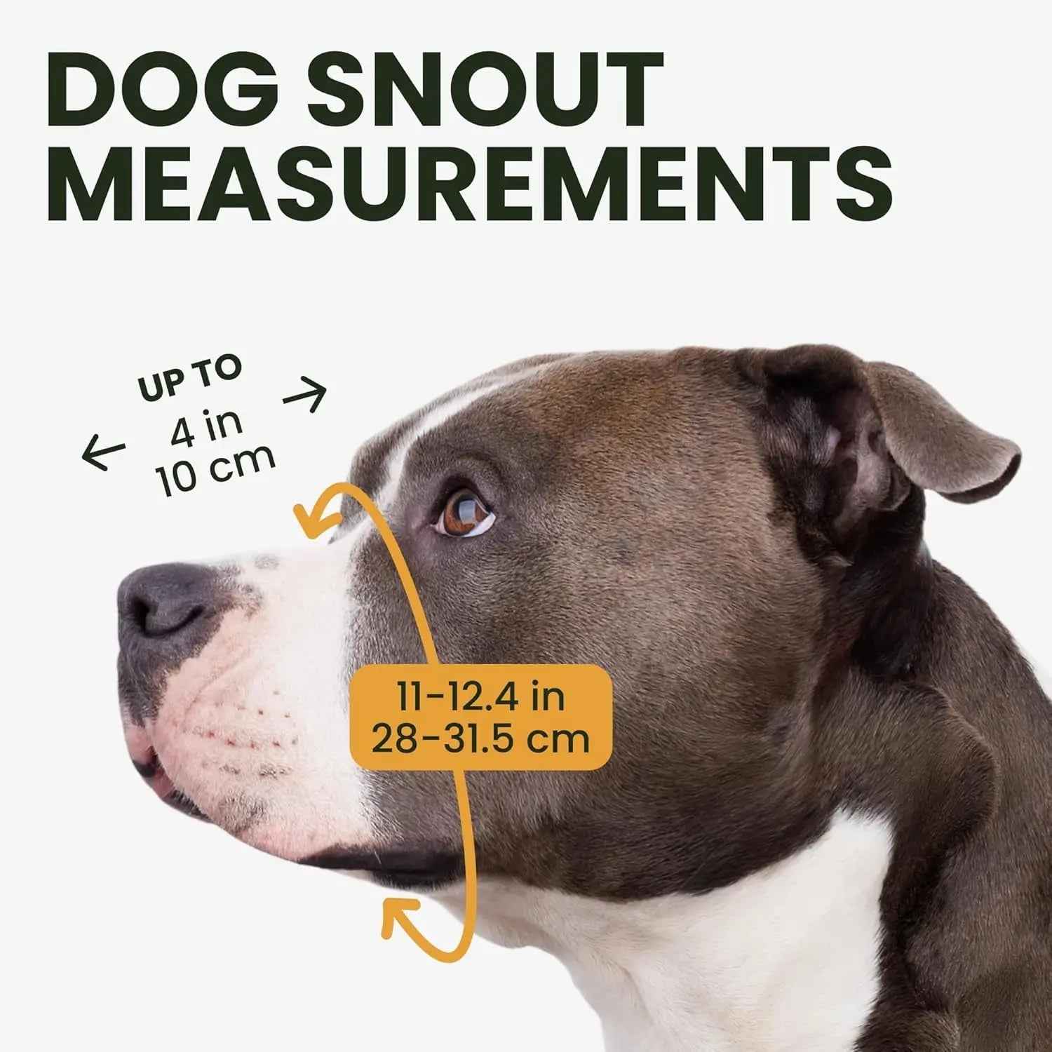 Metal Basket Dog Muzzle – Breathable, Leather Straps