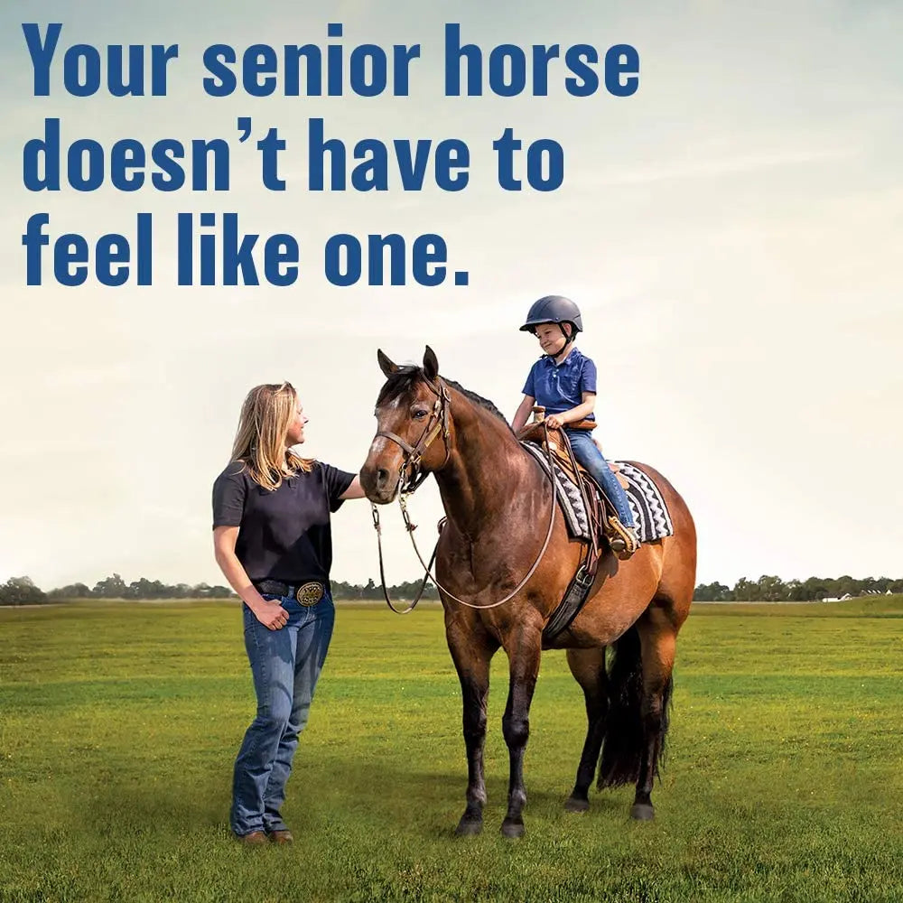 Bute-Less Comfort & Recovery Joint Supplement with B-12 for Horses