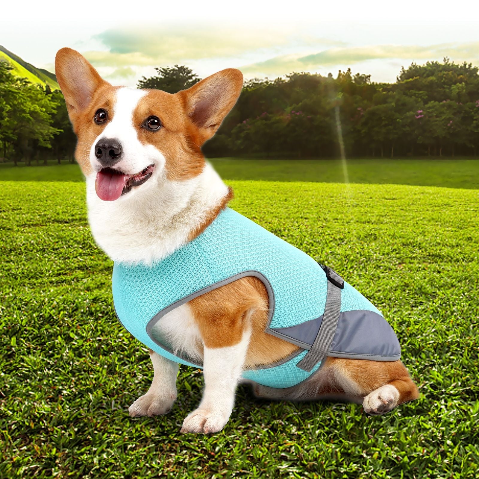 Dog Cooling Vest for Hot Weather – Breathable Summer Harness for Dogs 5–35kg