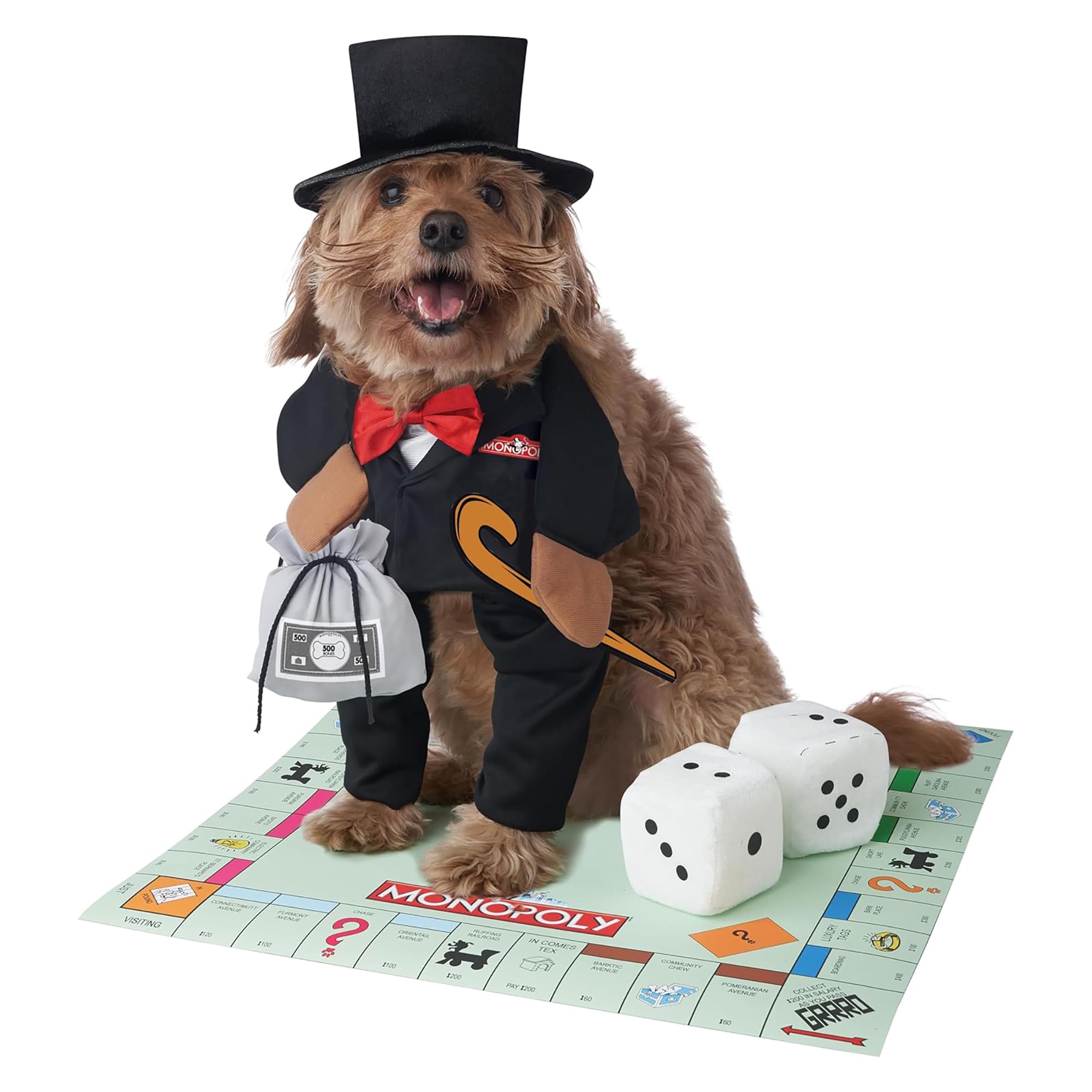 Mr Monopoly Dog costume  Large