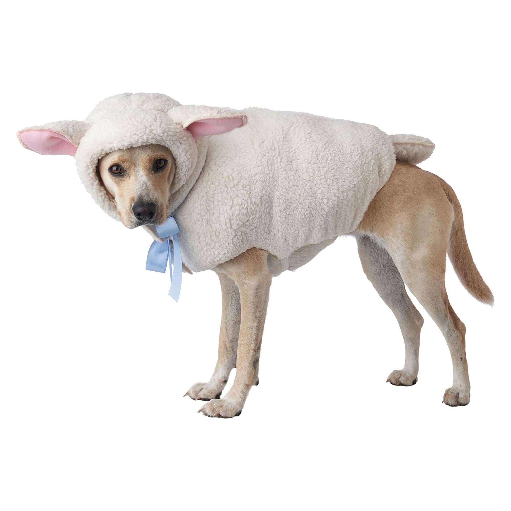 Sheep Dog Costume | X-Small