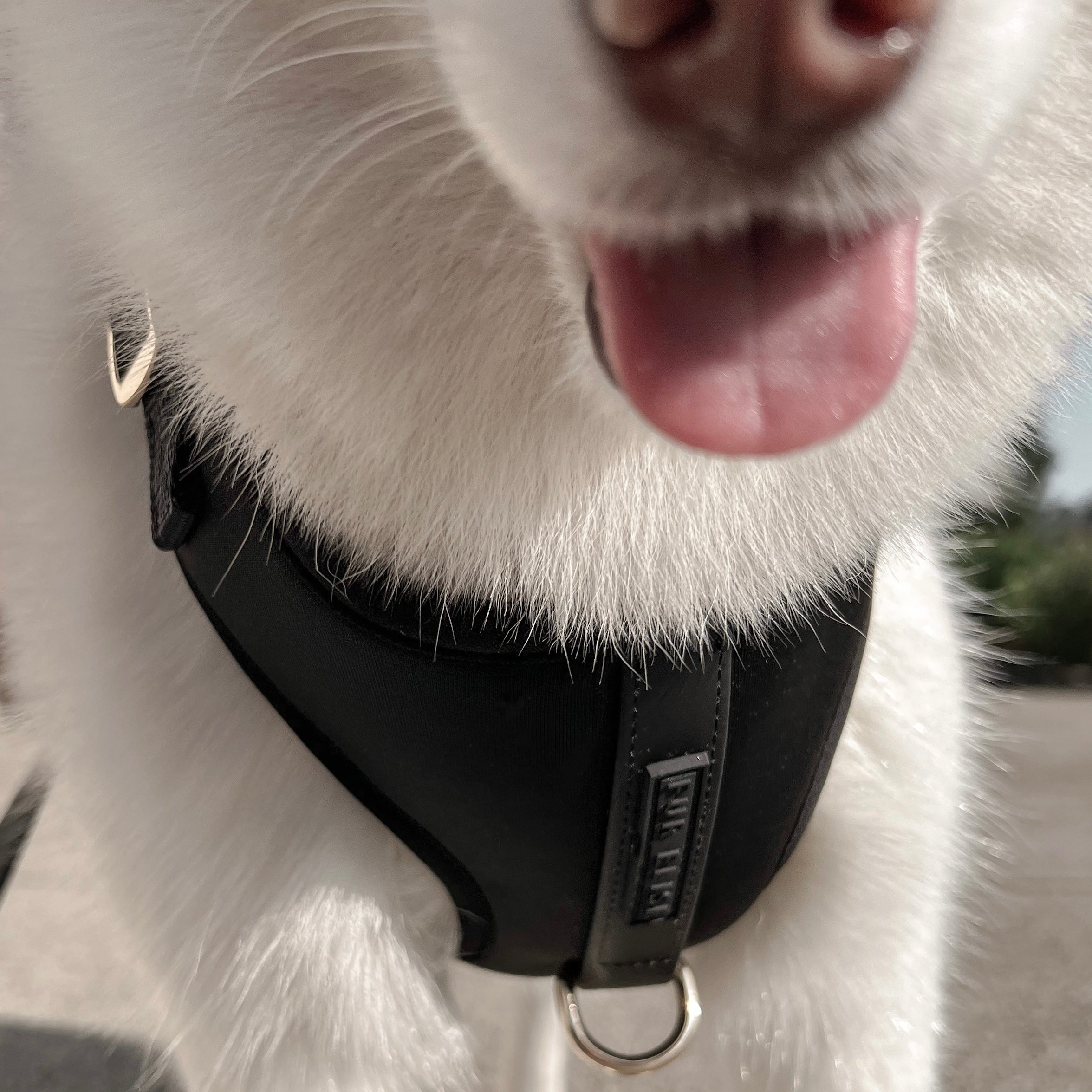 Fur Elise On-the-Go Walk Set - Noir
